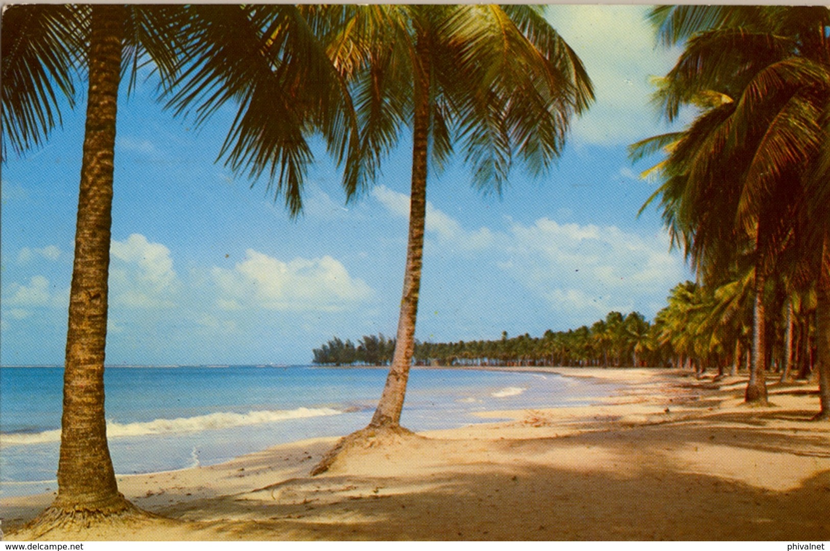 1966 PUERTO RICO - T.P.  CIRCULADA ,  LUQUILLO BEACH - Puerto Rico