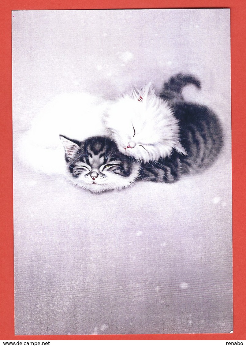 China, Cina, Chine; Gatti, Cat, Kittens Sleep, Chats, Postal Stationery, Intero Postale, Prepaid Postcard. - Chats Domestiques