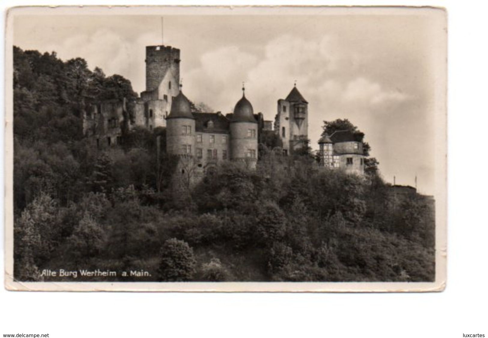 ALTE BURG WERTHEIM A. MAIN. - Wertheim