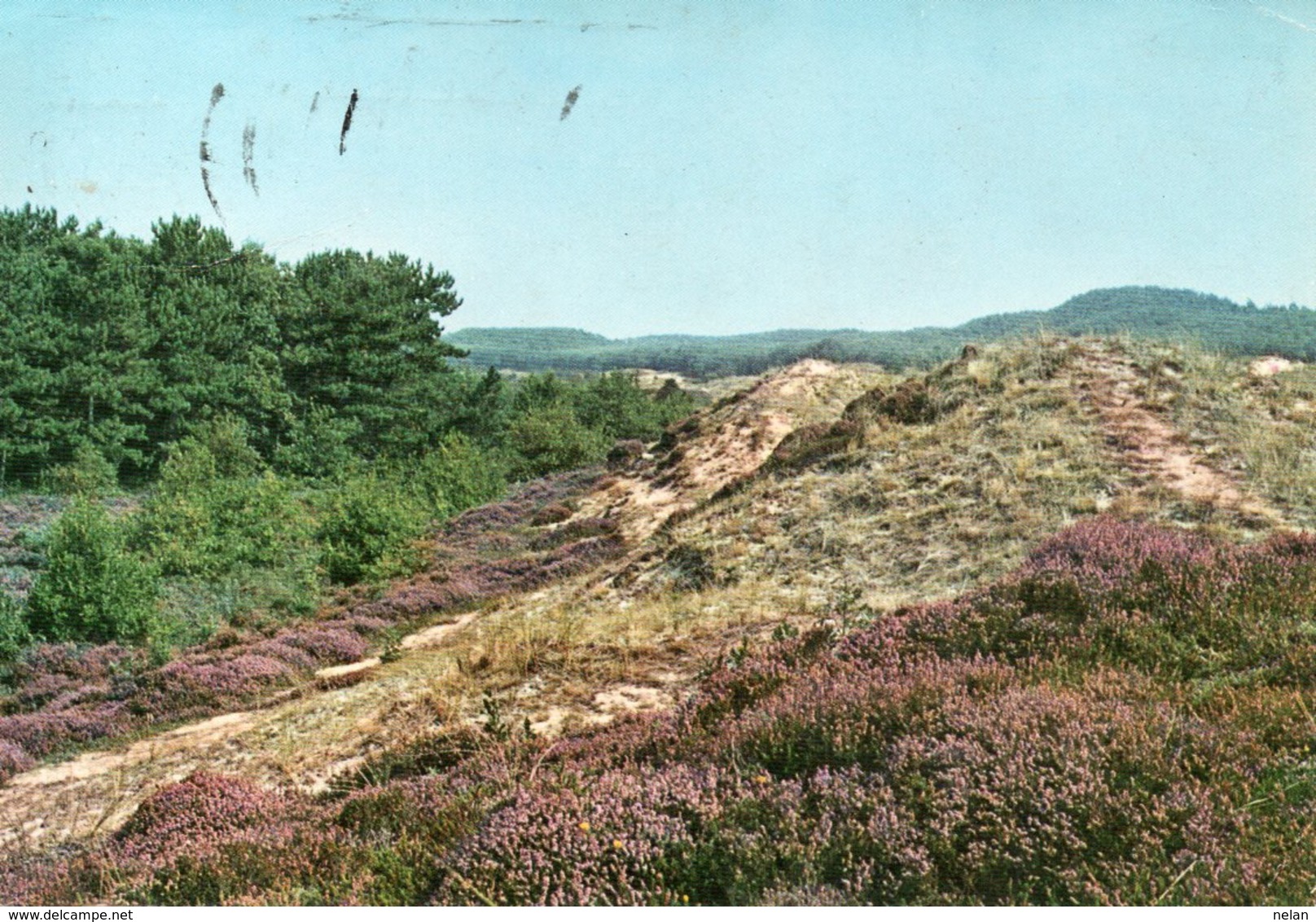 GROETEN VAN HET EILAND VLIELAND - Vlieland