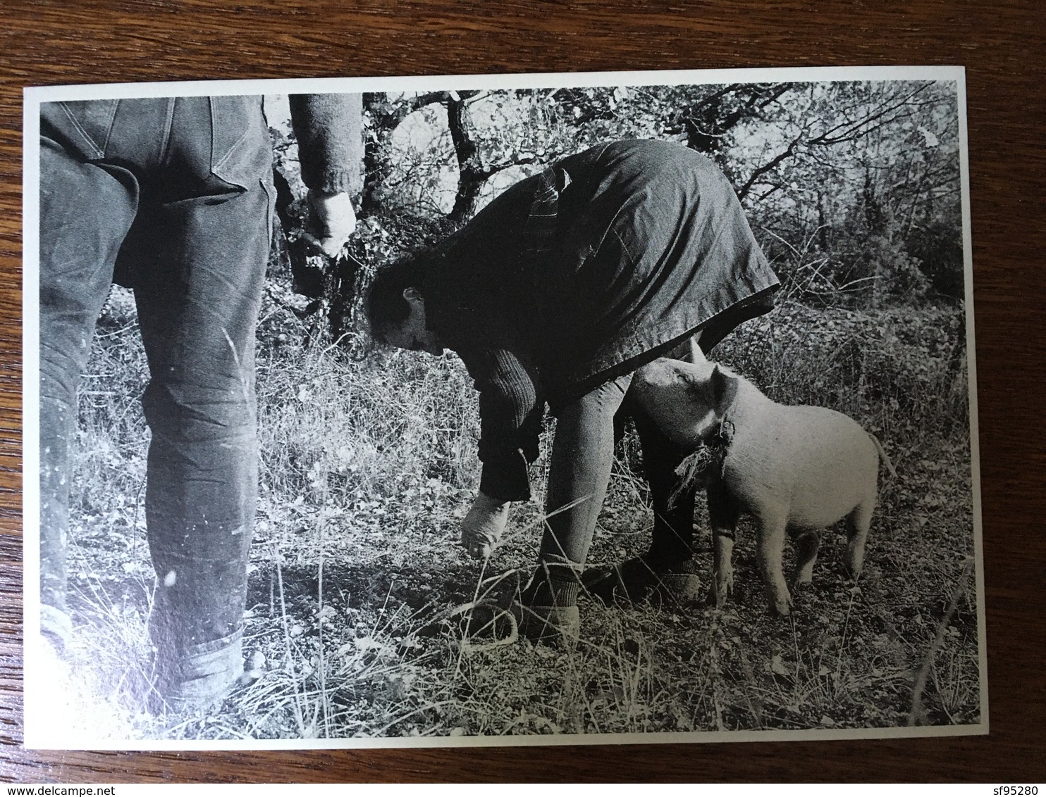 003 ESPECE DE MAUVAISE LANGUE COCHON LA VIE EN NOIR ET BLANC PHOTOGRAPHE NESPOULOS - Altri & Non Classificati