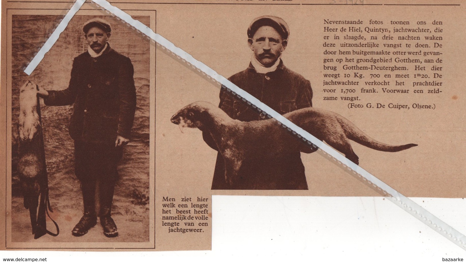 GOTTHEM..1929.. DEINZE HEER De HIEL QUINTYN JACHTWACHTER HEEFT EEN UITZONDERLIJKE VANGST EEN OTTER VAN 10 KG 700 - Unclassified