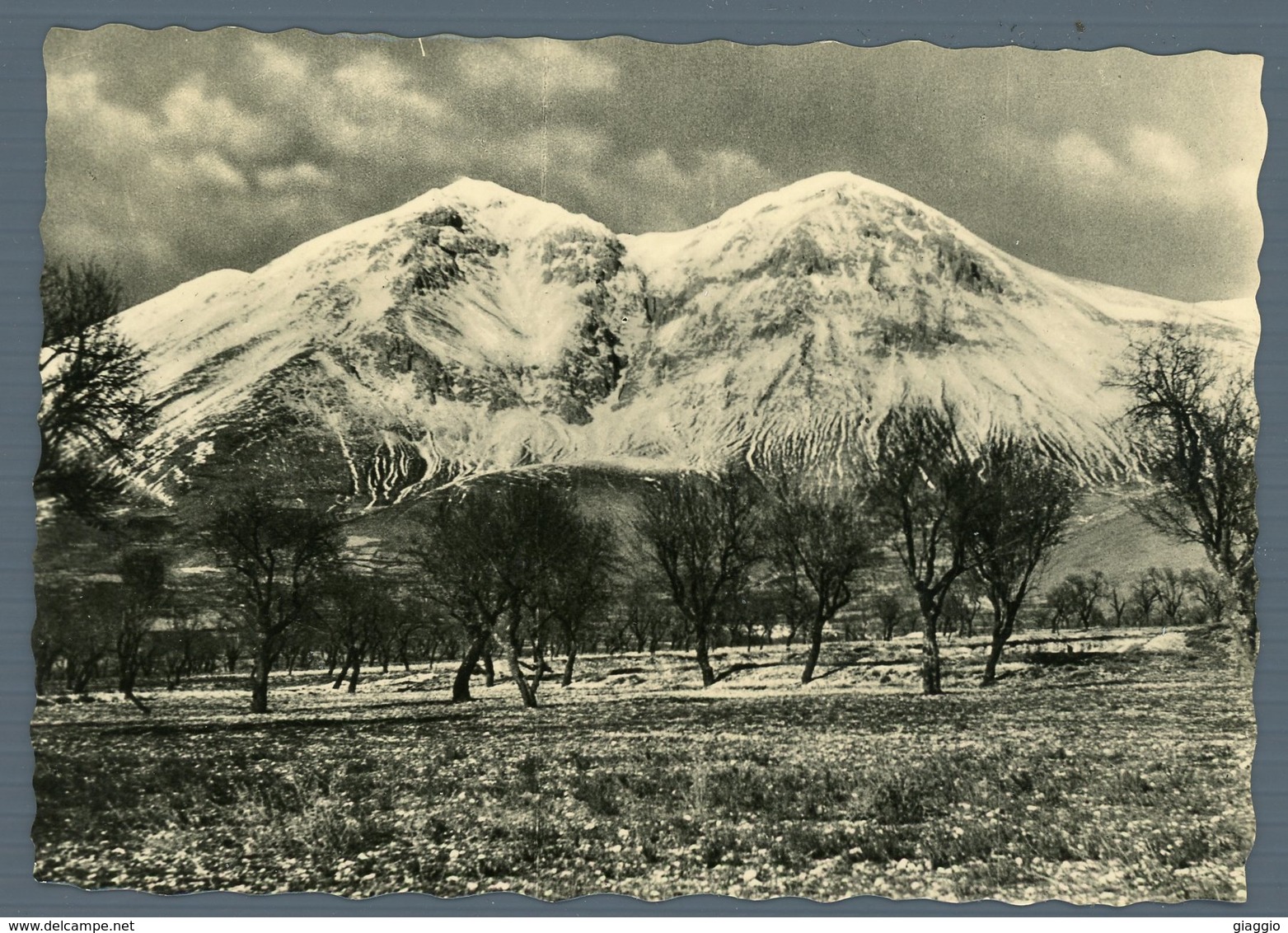 °°° Cartolina - Avezzano Veduta Del Monte Velino Viaggiata  °°° - Avezzano