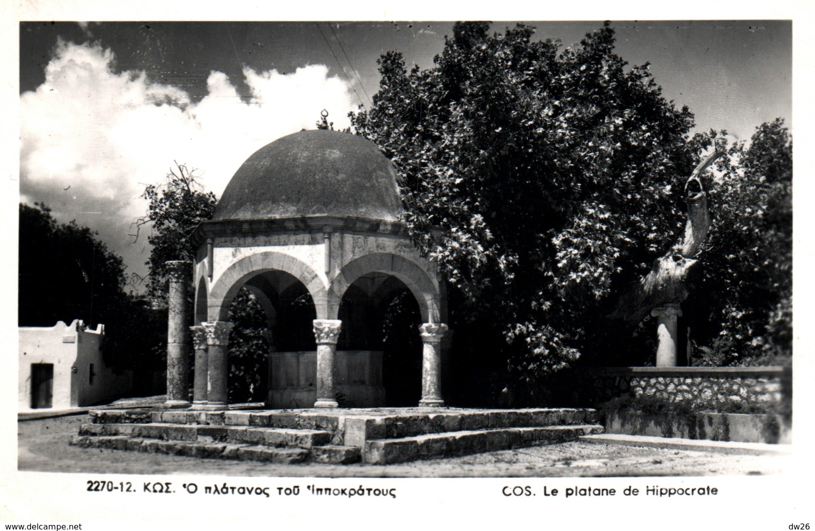 Grèce - Ile De Kos, Cos, Le Platane De Hippocrate (Πλάτανο του Ιπποκράτη) Carte Non Circulée - Griekenland