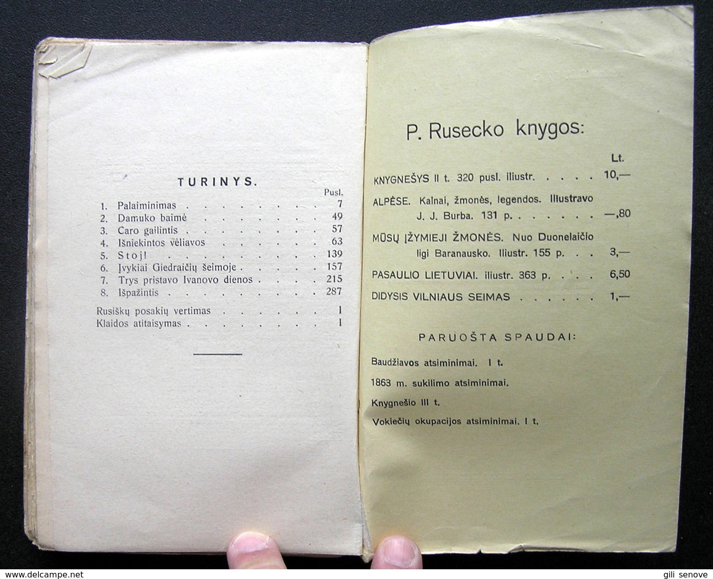 Lithuanian Book / Išniekintos Vėliavos By Ruseckas 1935 - Cultura