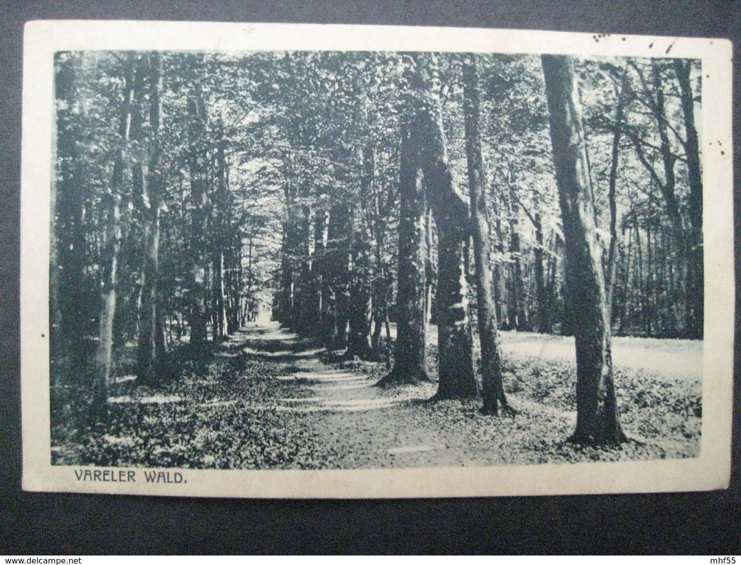 AK 1919, Vareler Wald - Varel