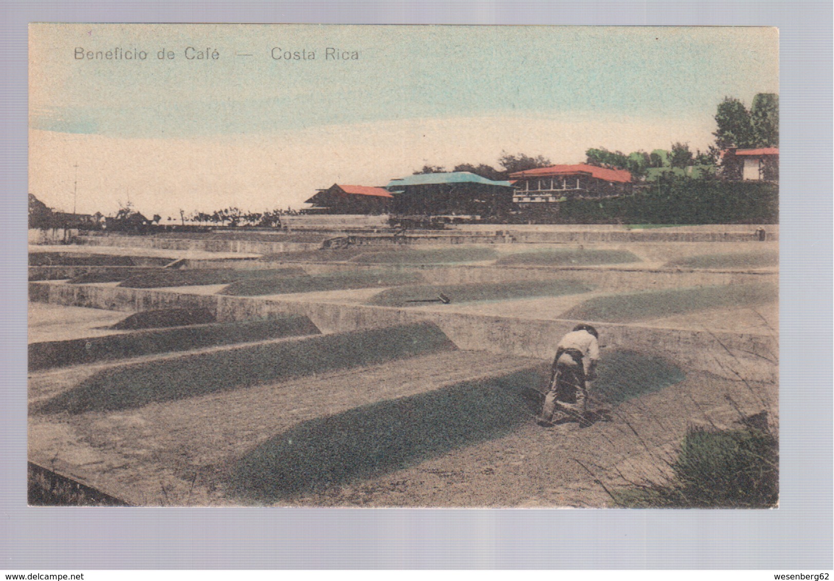 Costa Rica  Beneficio De Cafe Ca 1915 Old Postcard - Costa Rica