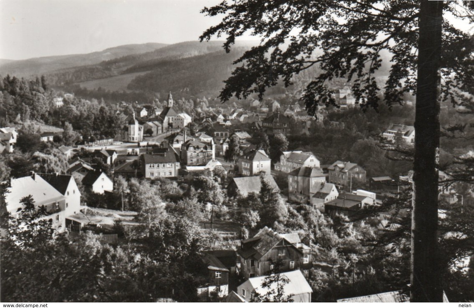 SCHMIEDEBERG-KR. DIPPOLDSWALDE-REAL PHOTO - Schmiedeberg (Erzgeb.)