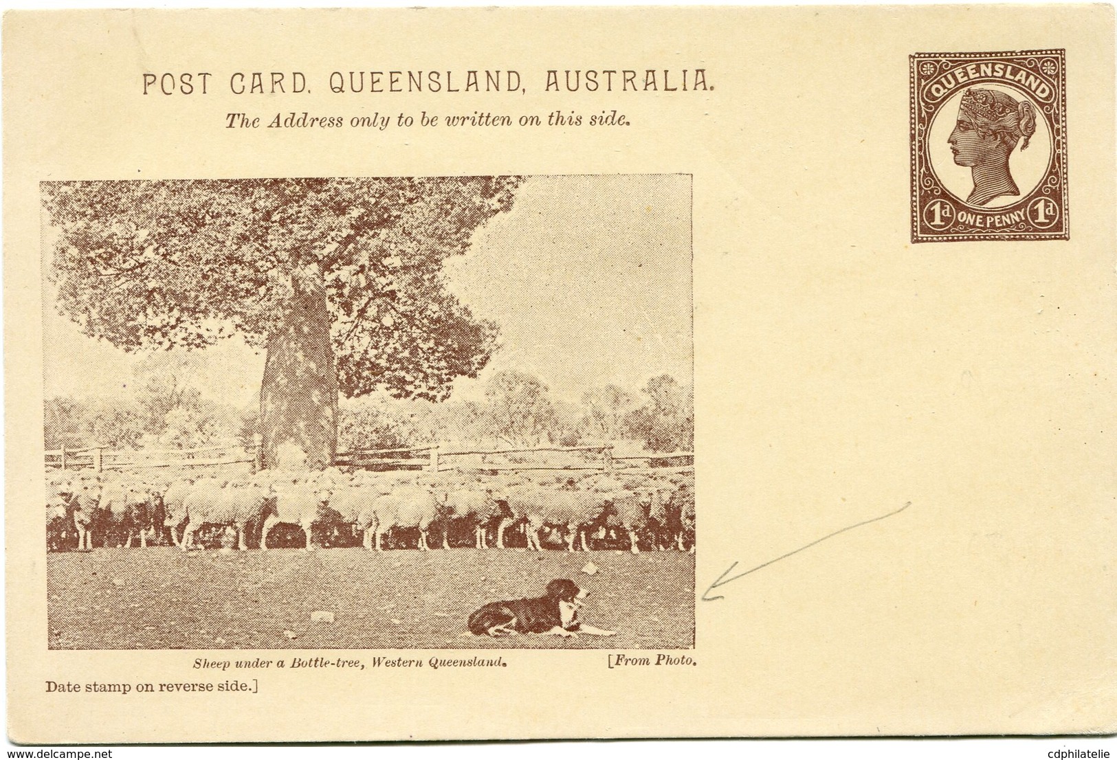 AUSTRALIE ENTIER POSTAL NEUF ILLUSTRATION SHEEP UNDER A BOTTLE-TREE WESTERN QUEENSLAND (POST CARD QUEENSLAND AUSTRALIA) - Postal Stationery