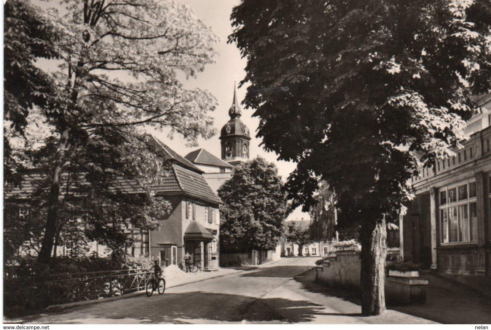 EISENMOORBAD-PRETZSCH-ELBE-GOETHEALLEE-REAL PHOTO - Bad Schmiedeberg