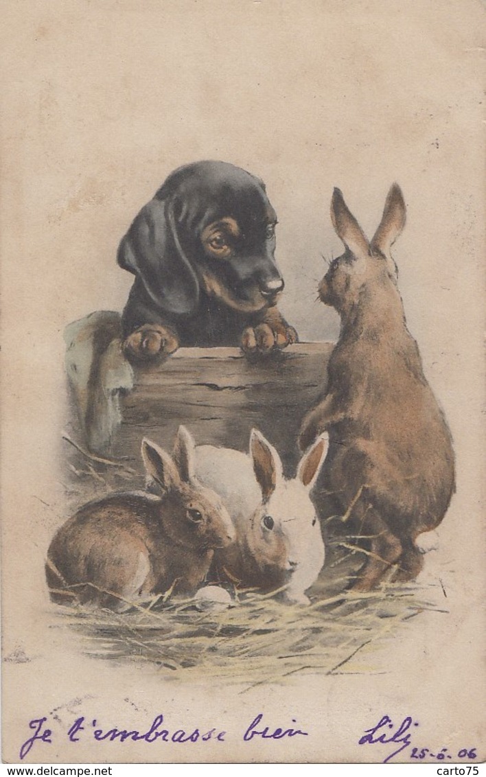 Illustrateurs - Chien Teckel - Chiot Dachshund - Lapin - 1906 - Editions MM Vienne N° 220 - Avant 1900