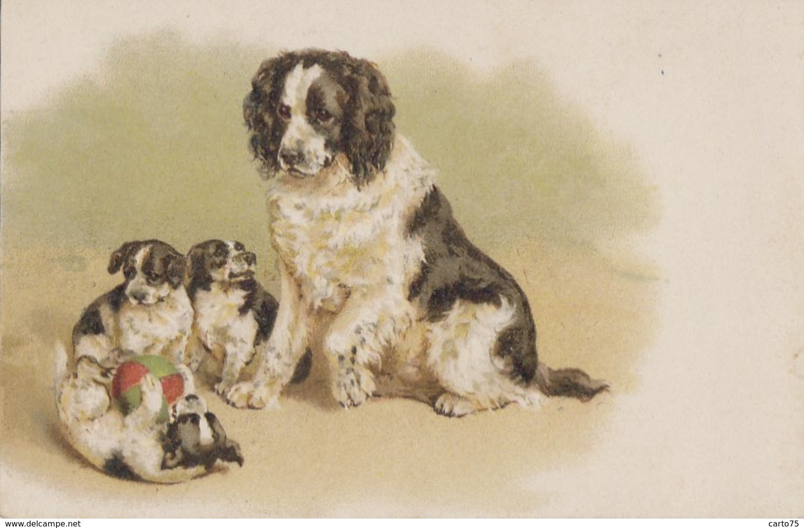 Illustrateurs - Chien Epagneul - Chiots - Mère Et Ses Petits - Vor 1900