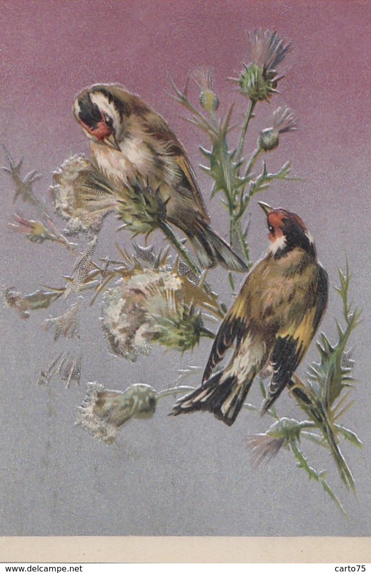 Illustrateurs - Oiseaux Chardonnerets Sur Chardons - Carte Gaufrée - Espana - Aluminium - Avant 1900