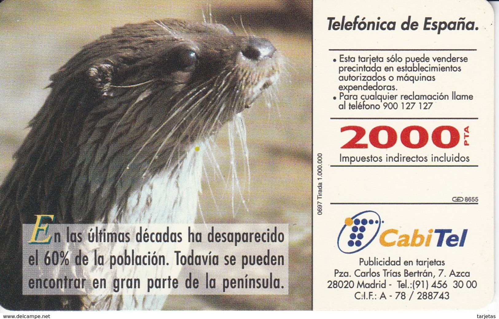 B-062 TARJETA DE PRUEBA DE LA NUTRIA EN COLOR MATE (DUMMY) - [3] Errors & Varieties