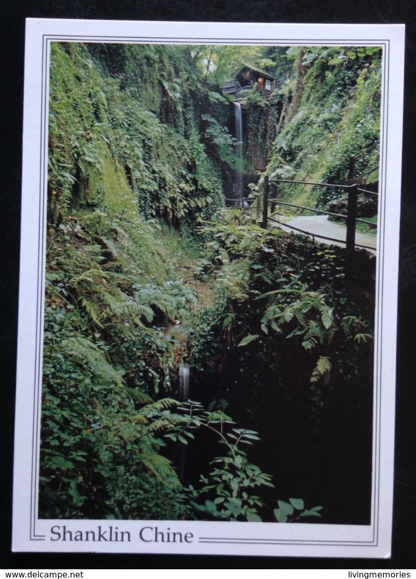 United Kingdom, ISLE OF WHITE, Shanklin Chine - Isle Of Man