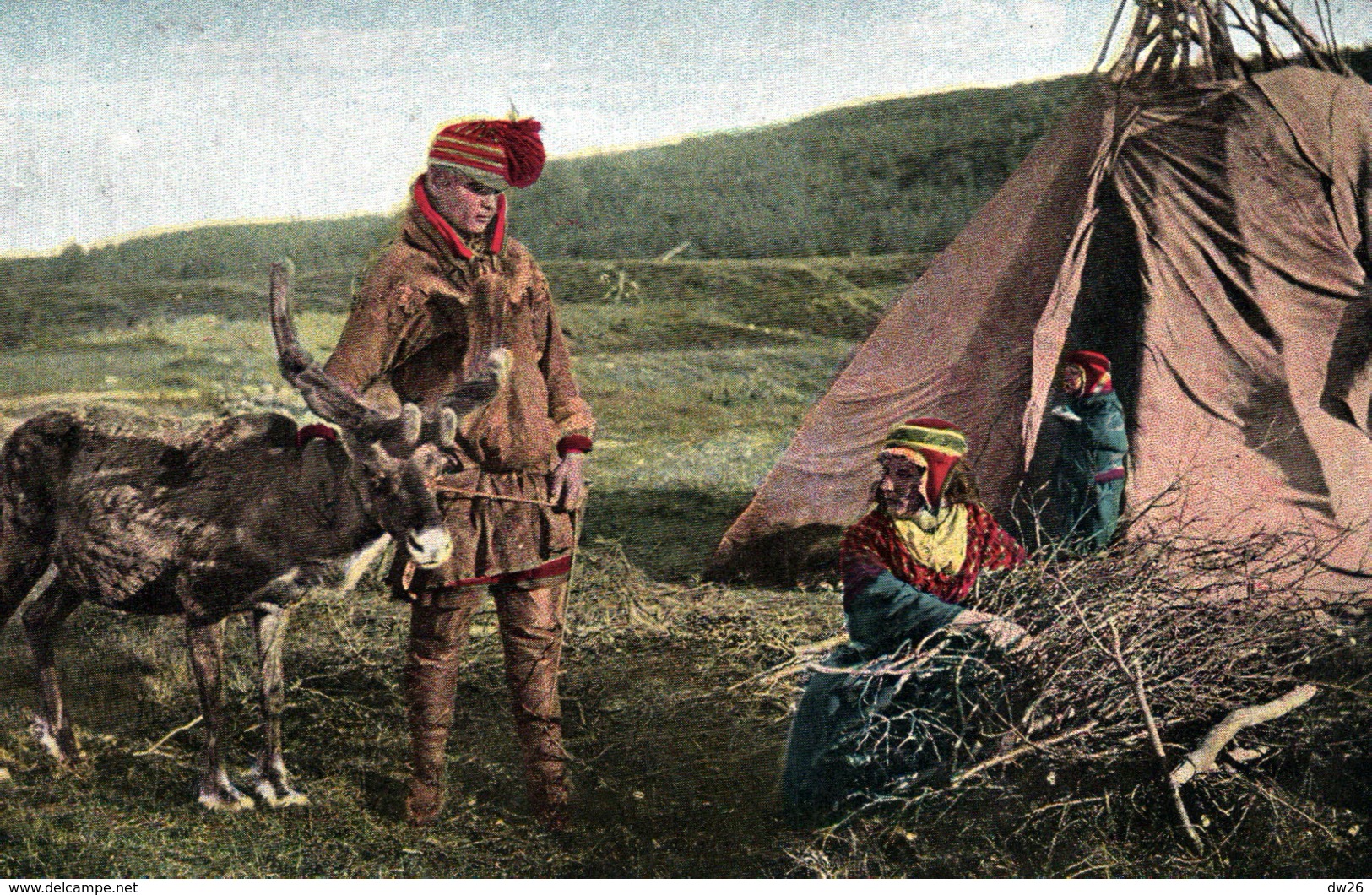 Norvège, Norge, Finnmark - Finmarken - Lappeleier - Elevage De Rennes En Laponie, Chez Les Lapons - Norway