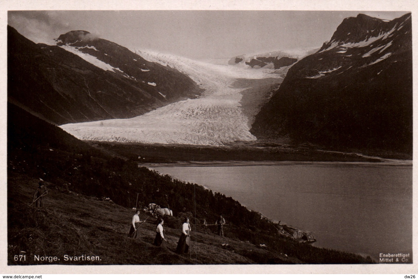 Norvège, Norway, Norge, Svartisen - Glacier Et Travaux Des Champs (Breen, Feltarbeid) Carte N° 671 Non Circulée - Norway