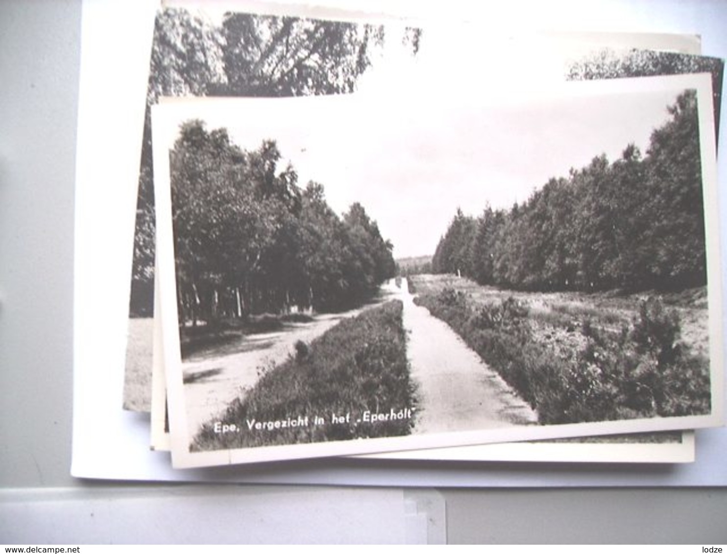 Nederland Holland Pays Bas Epe Panorama In Eperholt - Epe