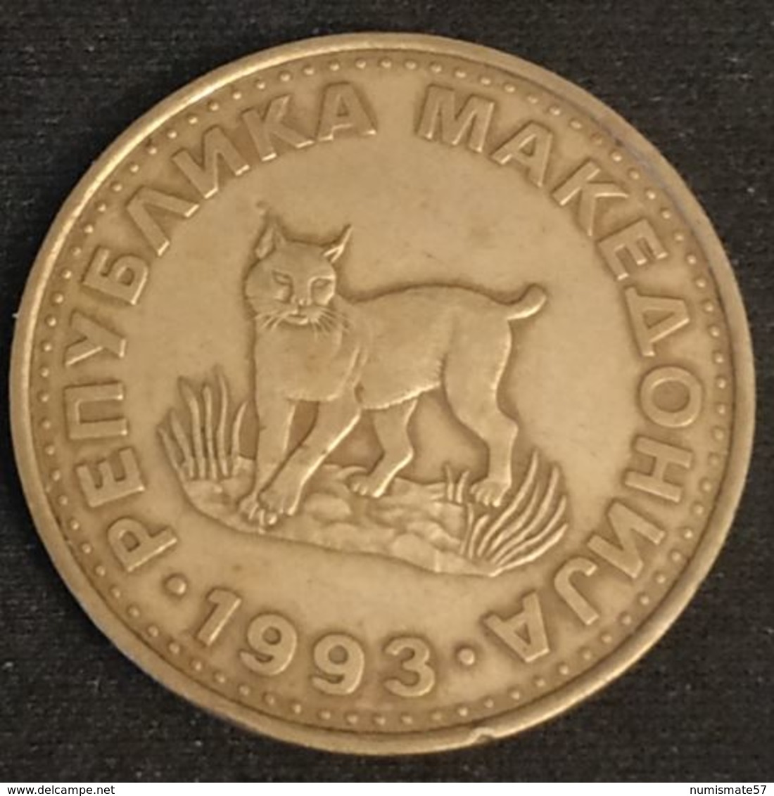 MACEDOINE - MACEDONIA - 5 DENARI 1993 - KM 4 - ( Lynx ) - Denars - Macedonia Del Norte