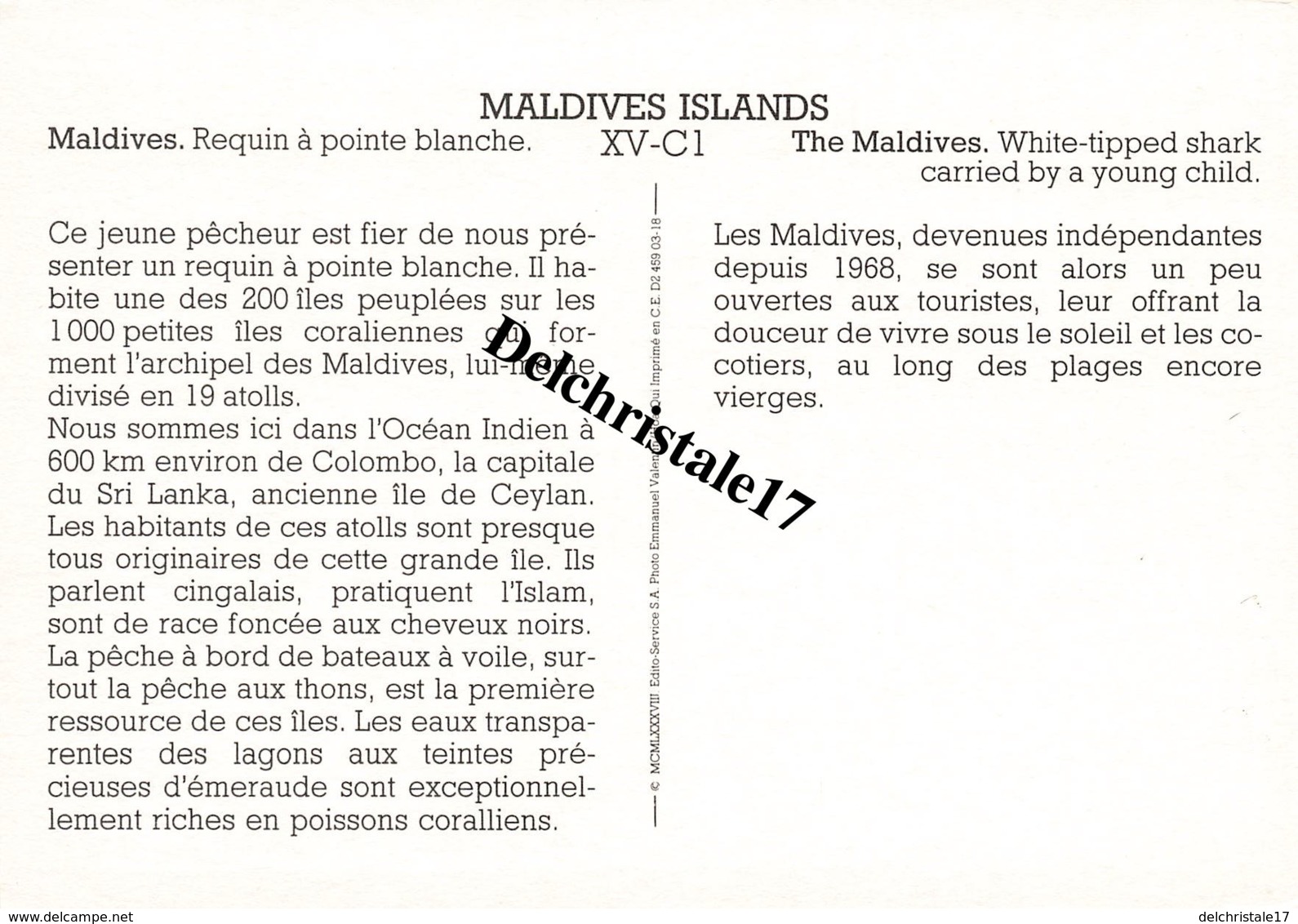 CPM MALDIVES - MALDIVES ISLANDS - REQUIN À POINTE BLANCHE - Maldiven