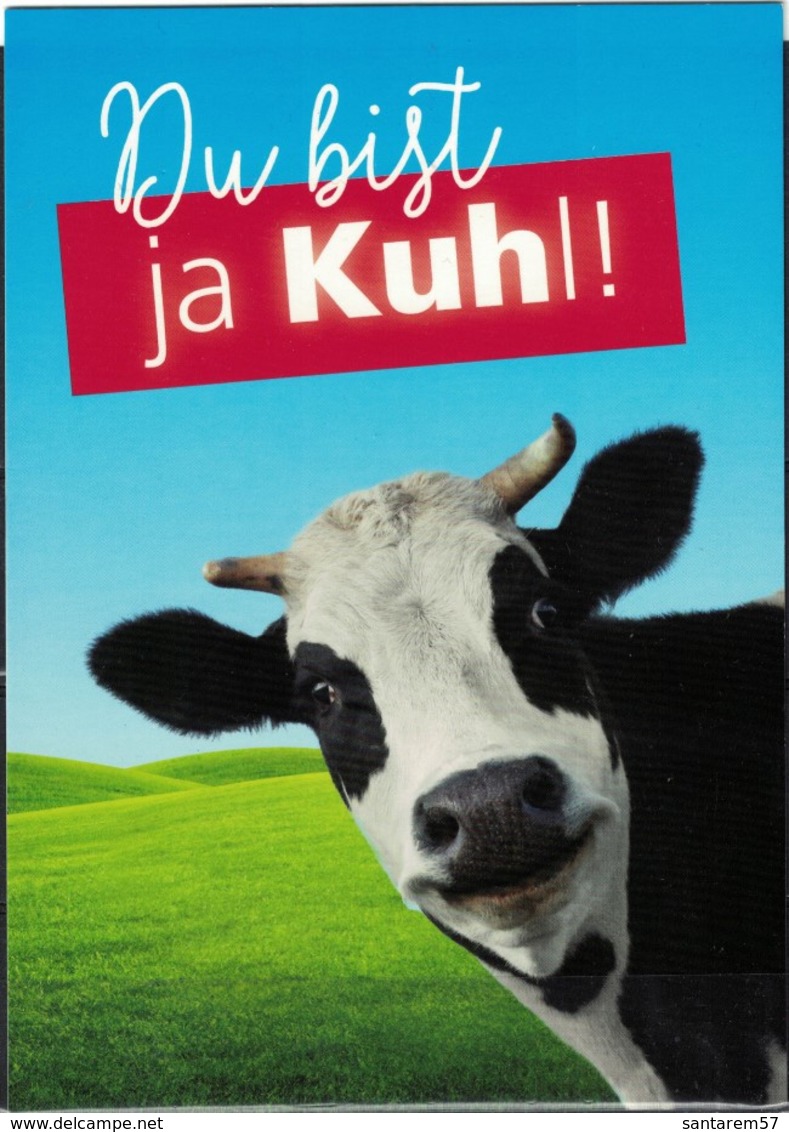 Allemagne Carte Postale CP Postcard WN Journal Imprimé Et Numérique Vache Du Bist Ja Kuhl Tu Est Cool ! - Duits