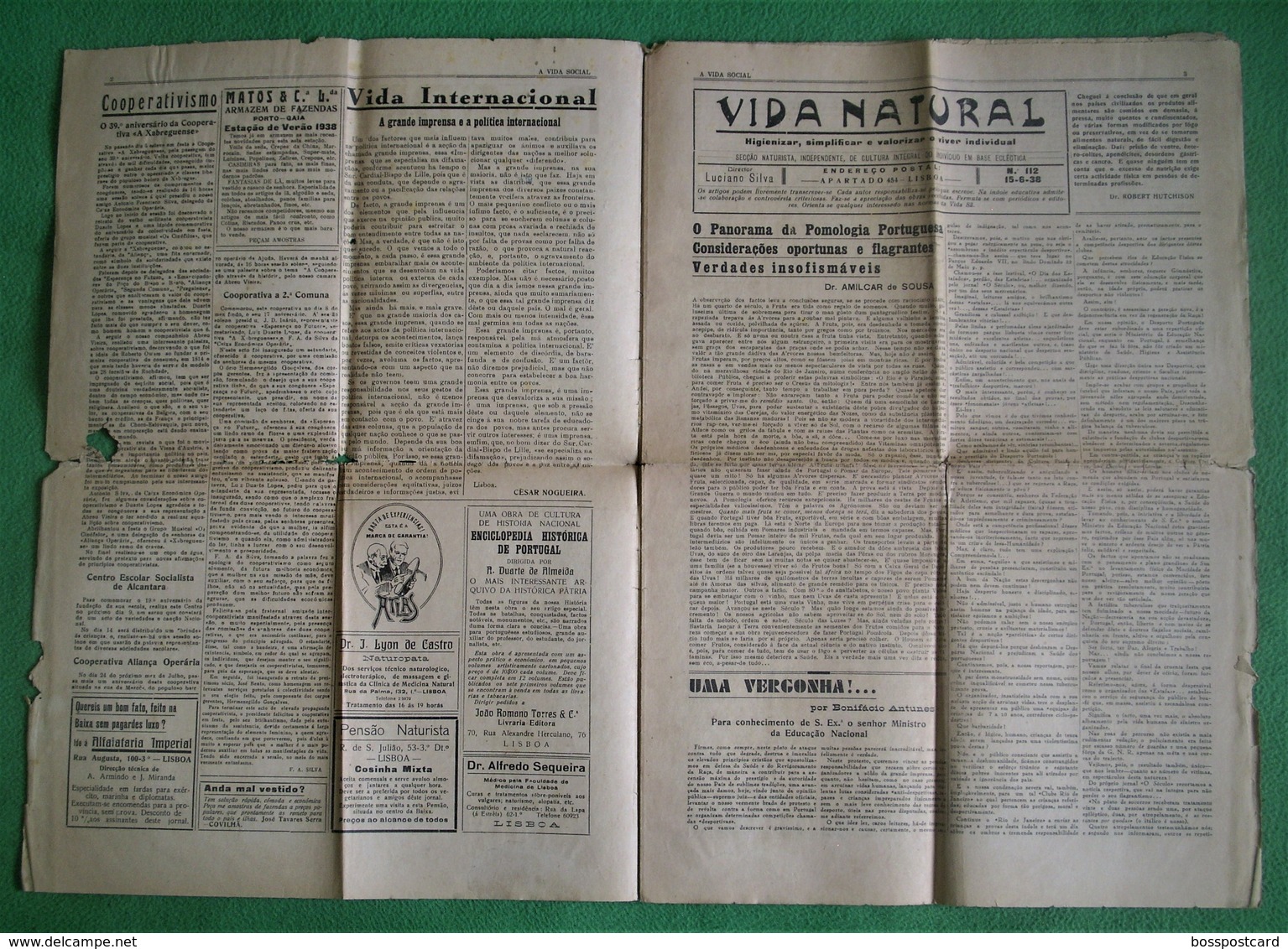 Montijo - Jornal A Vida Social Nº 139 De 1938 - Costa Da Caparica - Almada - Imprensa. Setúbal (danificado) - Informations Générales