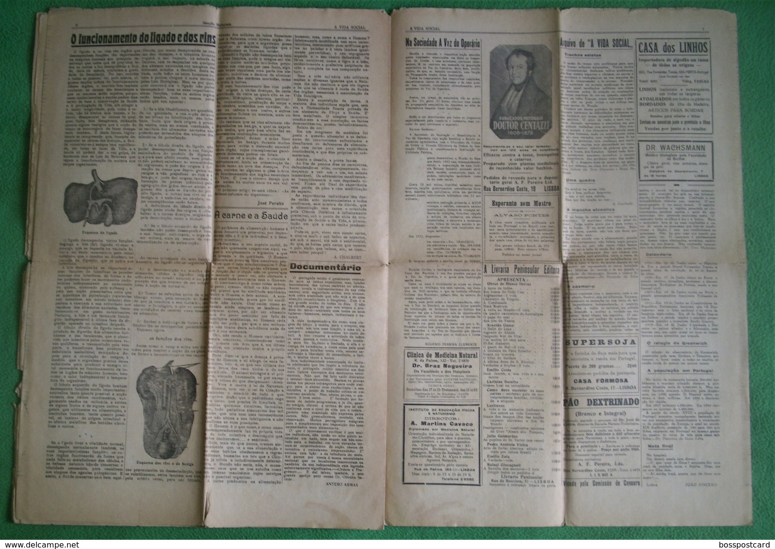 Montijo - Jornal A Vida Social Nº 139 De 1938 - Costa Da Caparica - Almada - Imprensa. Setúbal (danificado) - Allgemeine Literatur
