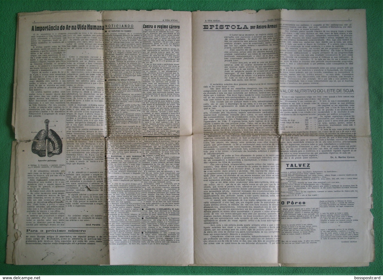 Montijo - Jornal A Vida Social Nº 135 De 1938 - Imprensa. Setúbal (danificado) - Informations Générales