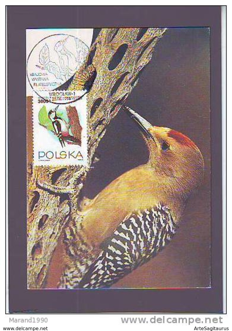 SOUVENIR CARD, DENDROCOPOS SYRIACUS AND PICOIDES NUTTALLI ** - Peacocks