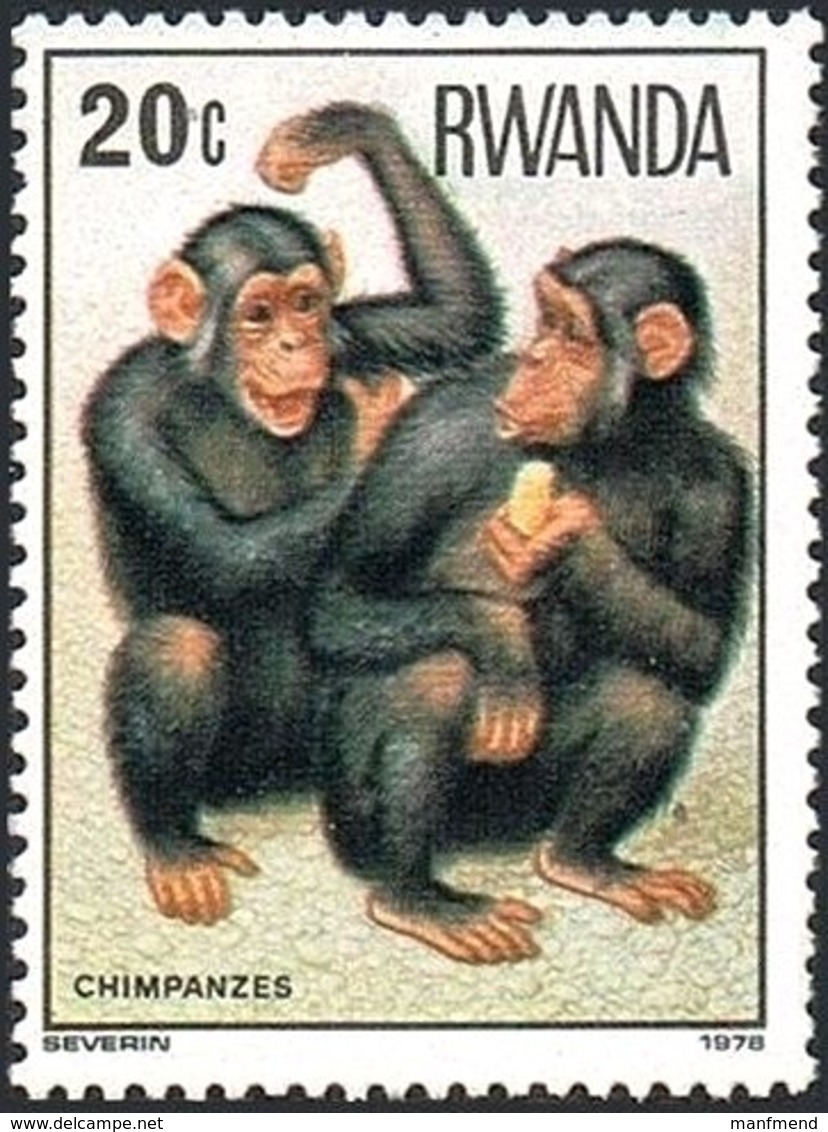 Rwanda - 1978 - Mi:RW 922, Sn:RW 857, Yt:RW 820**MNH - Look Scan - Schimpansen