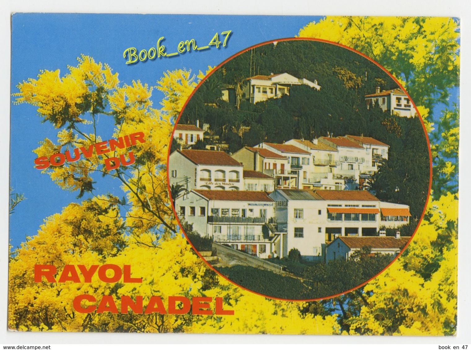 {59045} 83 Var Rayol Canadel ; Mimosas - Rayol-Canadel-sur-Mer