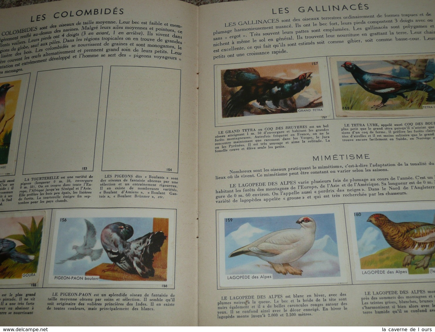 Rare Album Collecteur D'images Chromos, Publicitaire Entremets FRANCORUSSE N°2, Nature, Oiseaux Et Papillons - Albums & Catalogues