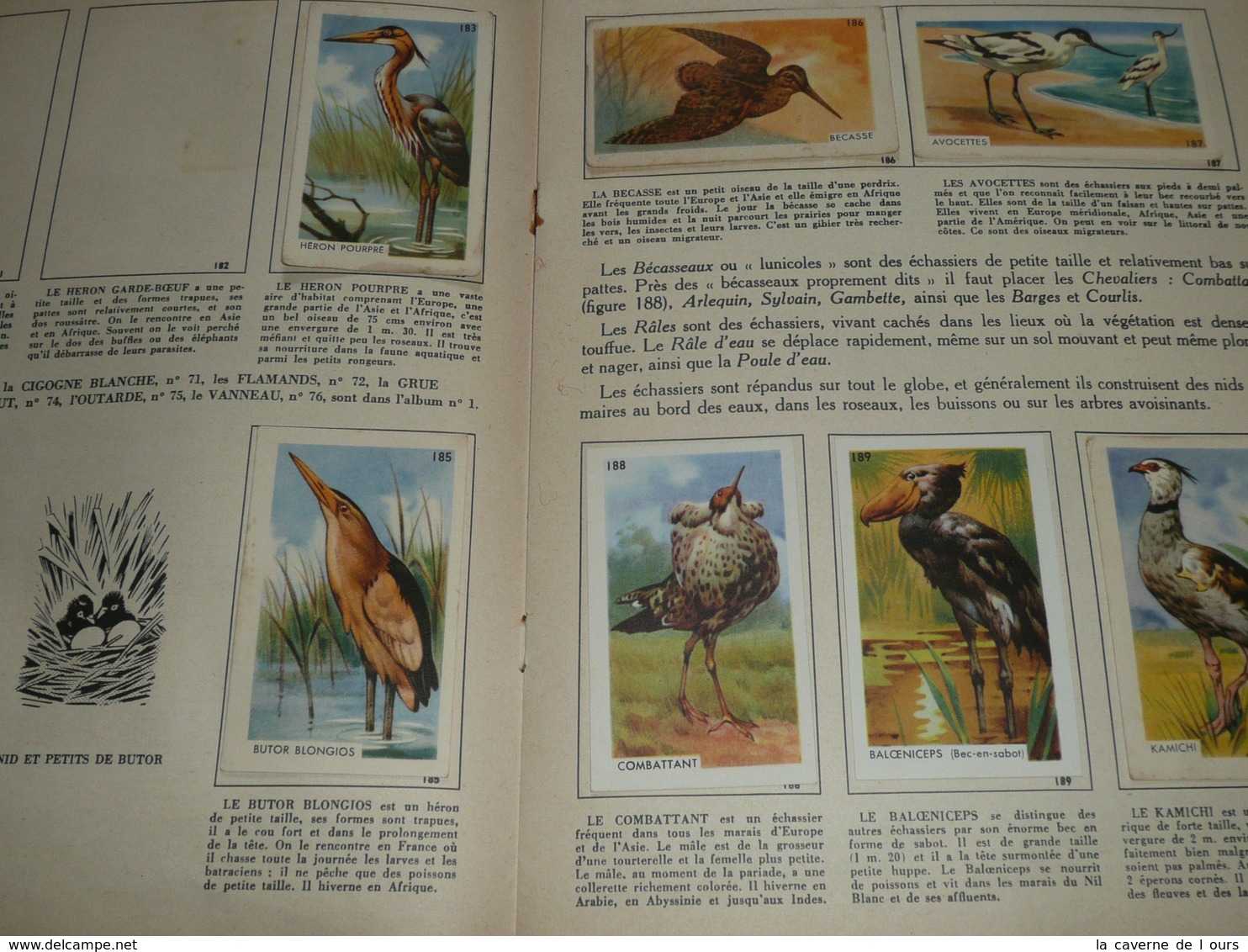 Rare Album Collecteur D'images Chromos, Publicitaire Entremets FRANCORUSSE N°2, Nature, Oiseaux Et Papillons - Albums & Catalogues