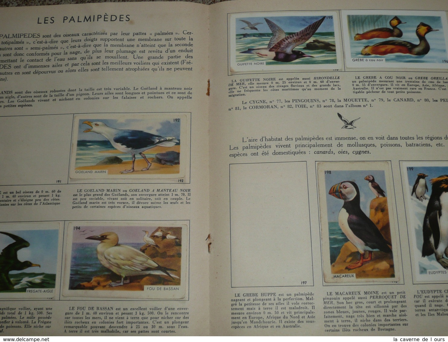 Rare Album Collecteur D'images Chromos, Publicitaire Entremets FRANCORUSSE N°2, Nature, Oiseaux Et Papillons - Albumes & Catálogos