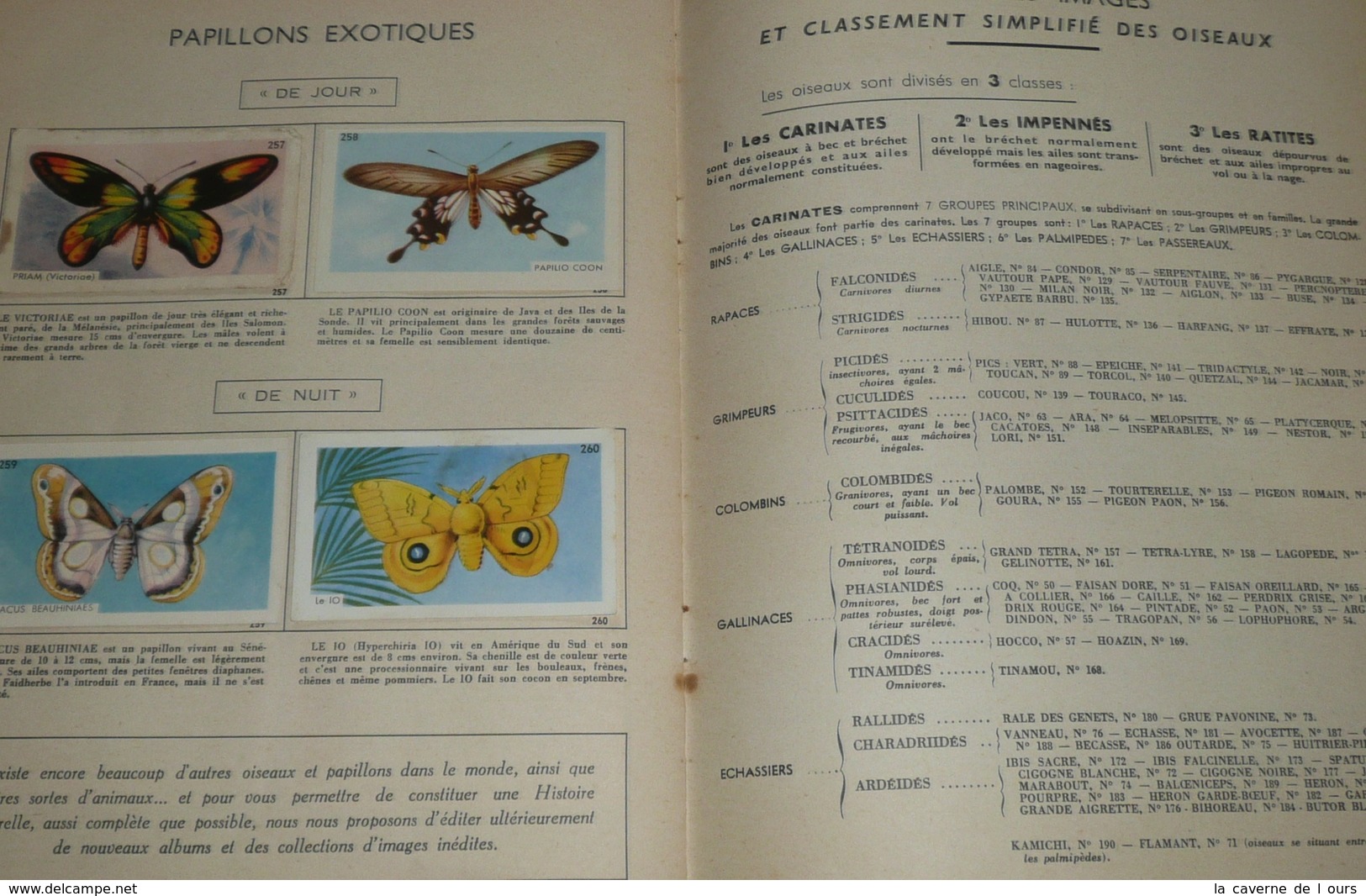 Rare album collecteur d'images chromos, publicitaire Entremets FRANCORUSSE N°2, Nature, Oiseaux et Papillons