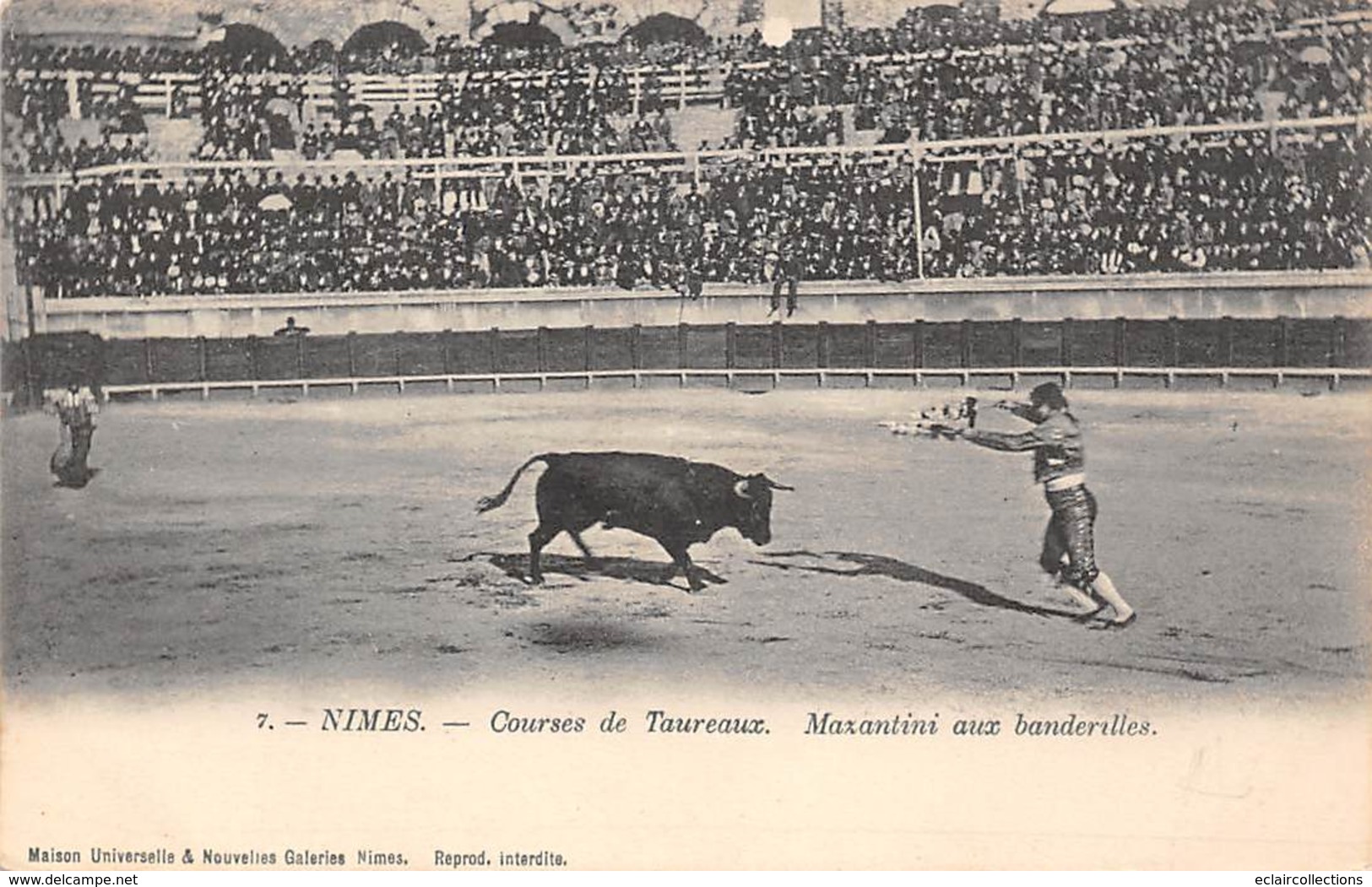 Nîmes        30         Courses De Taureaux . Trois Cartes N° 5-6-7      (voir Scan) - Nîmes