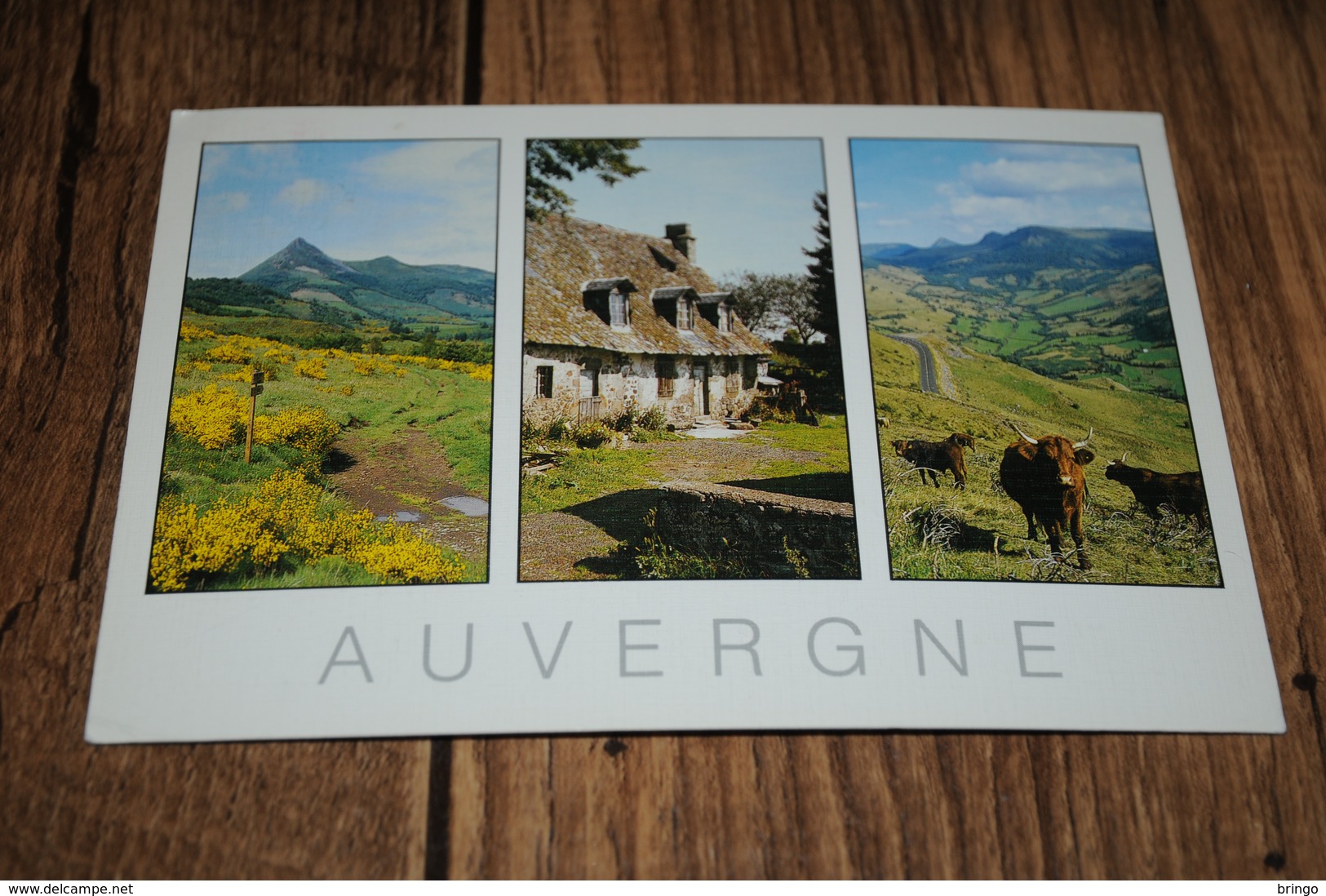 3900-         AUVERGNE - Auvergne