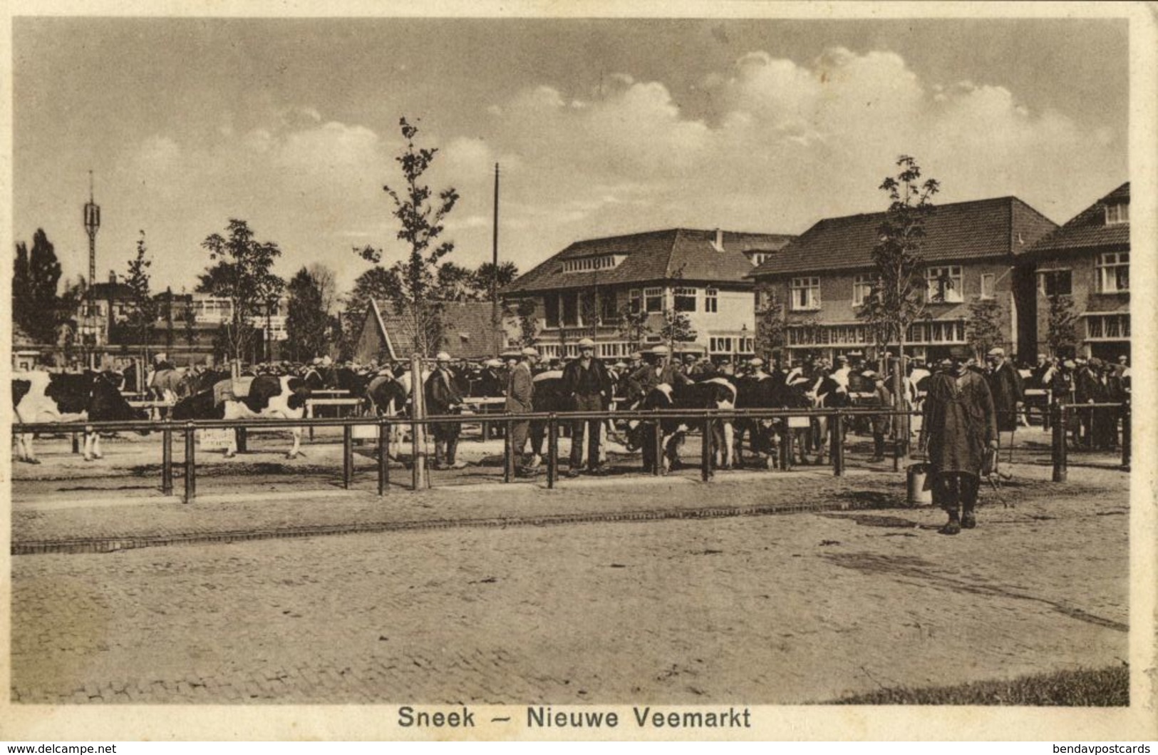 Nederland, SNEEK, Nieuwe Veemarkt, Koeien (1930s) Ansichtkaart - Sneek