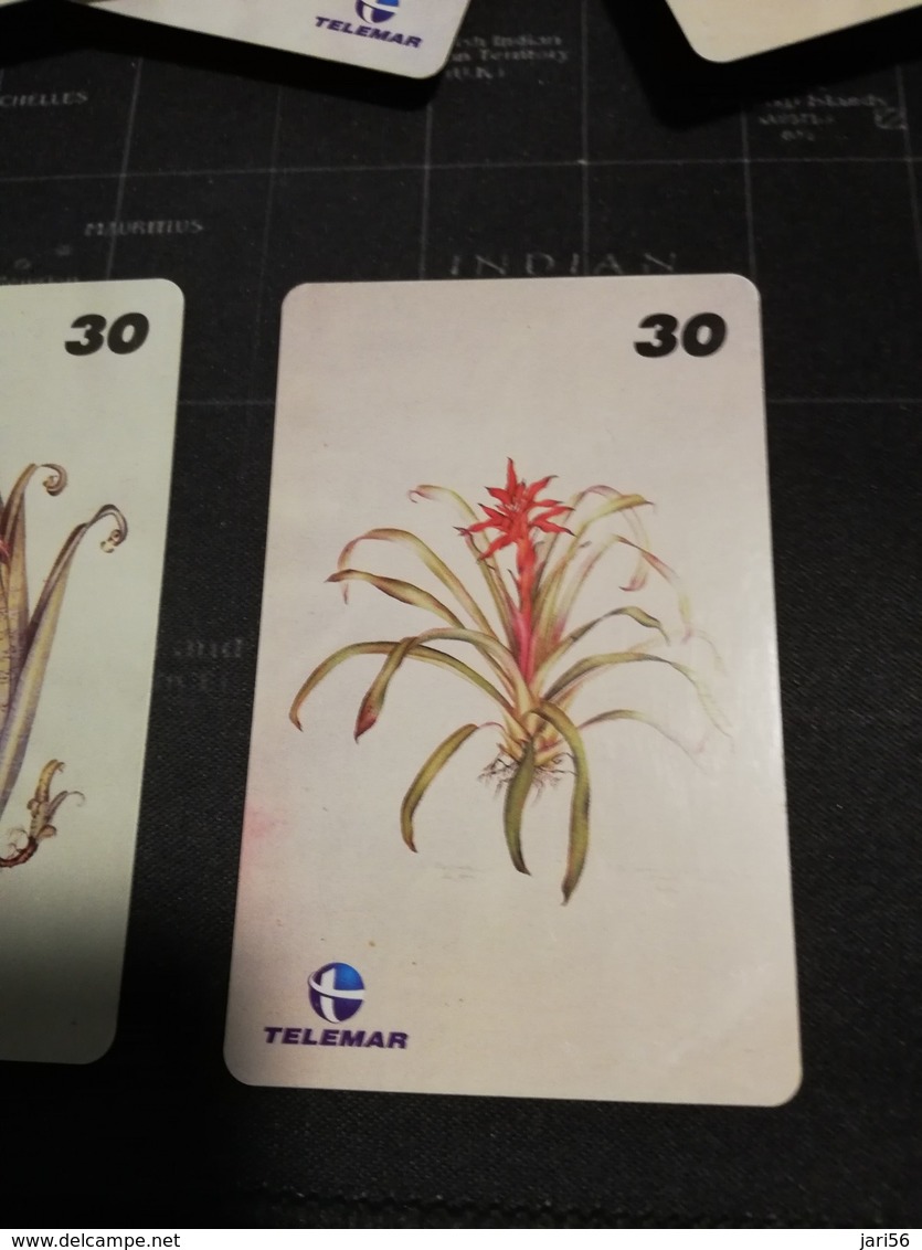 BRAZIL   INDUCTIVE CARDS  Flowers /botanicas     15 CARDS    ** 1669 ** - Brasilien