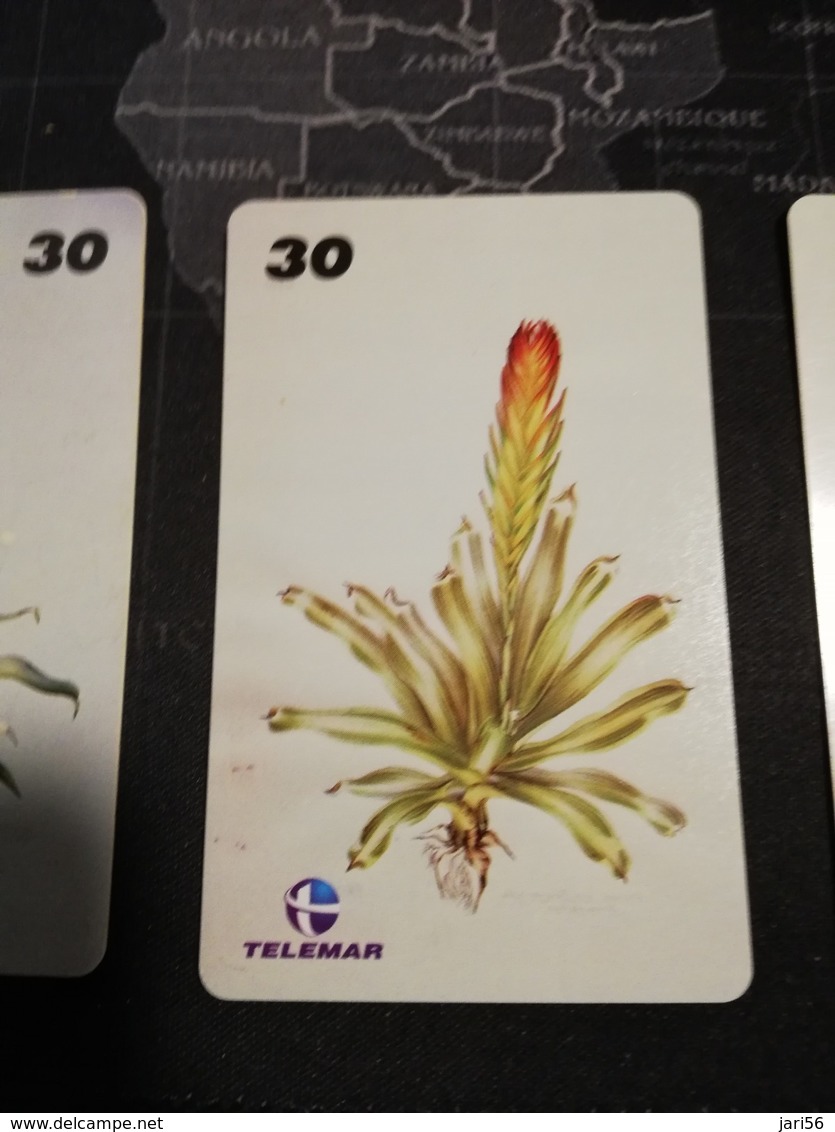 BRAZIL   INDUCTIVE CARDS  flowers /botanicas     15 CARDS    ** 1669 **