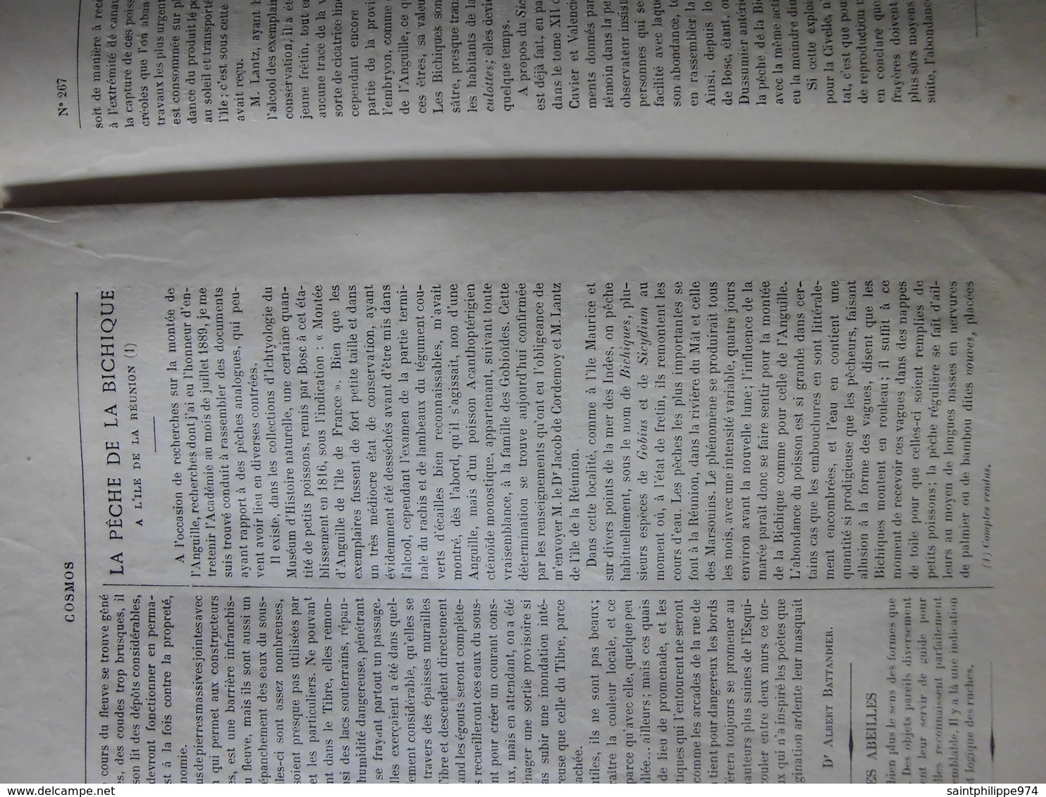 Réunion : « La Pêche De La Bichique » Au 19ème Siècle : Article De La Revue Cosmos Du 8 Mars  1890 - 1850 - 1899