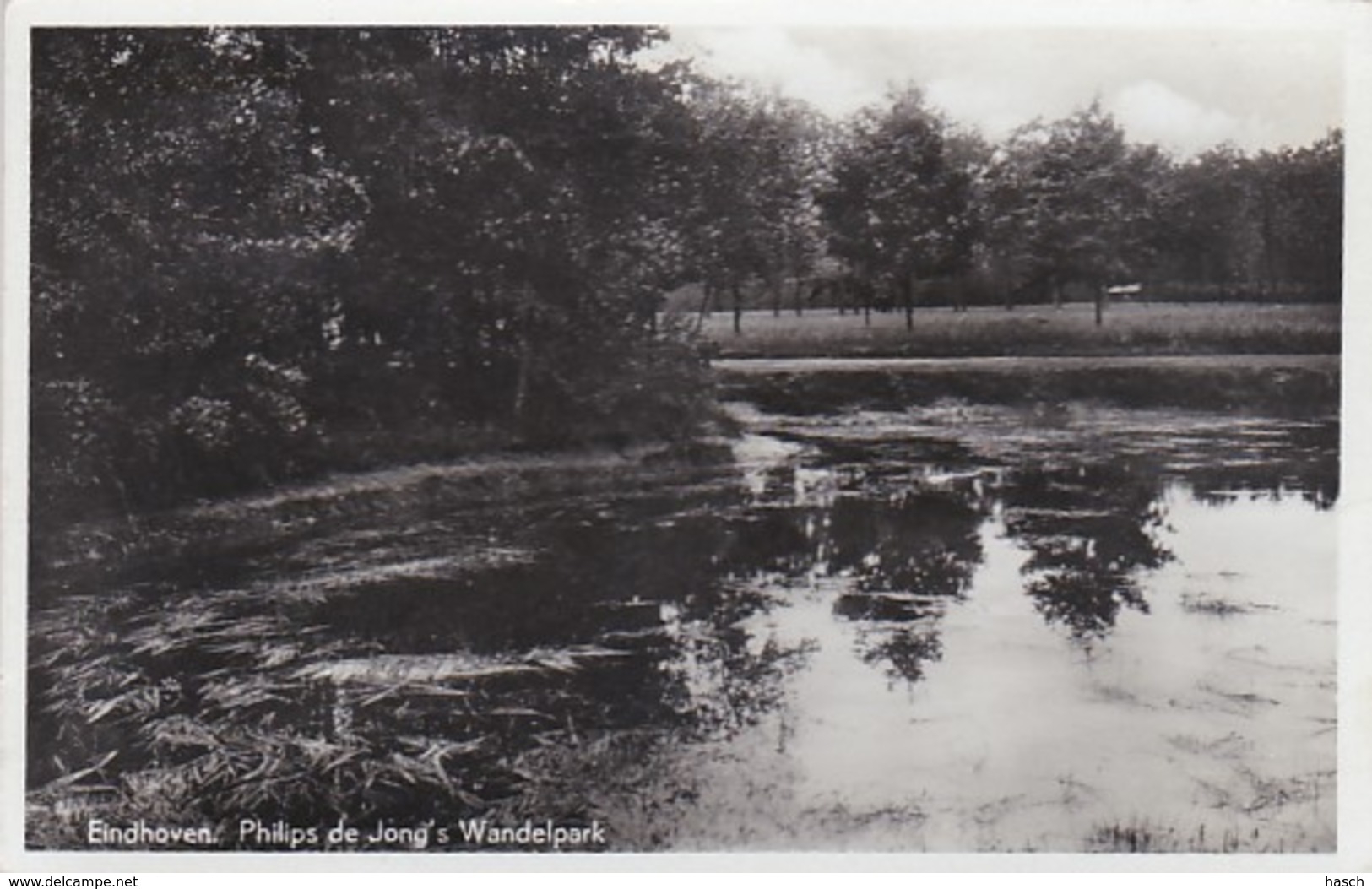 477077Eindhoven, Philips De Jong’s Wandelpark. – 1937.(FOTO KAART) (minuscule Vouwen In De Hoeken) - Eindhoven