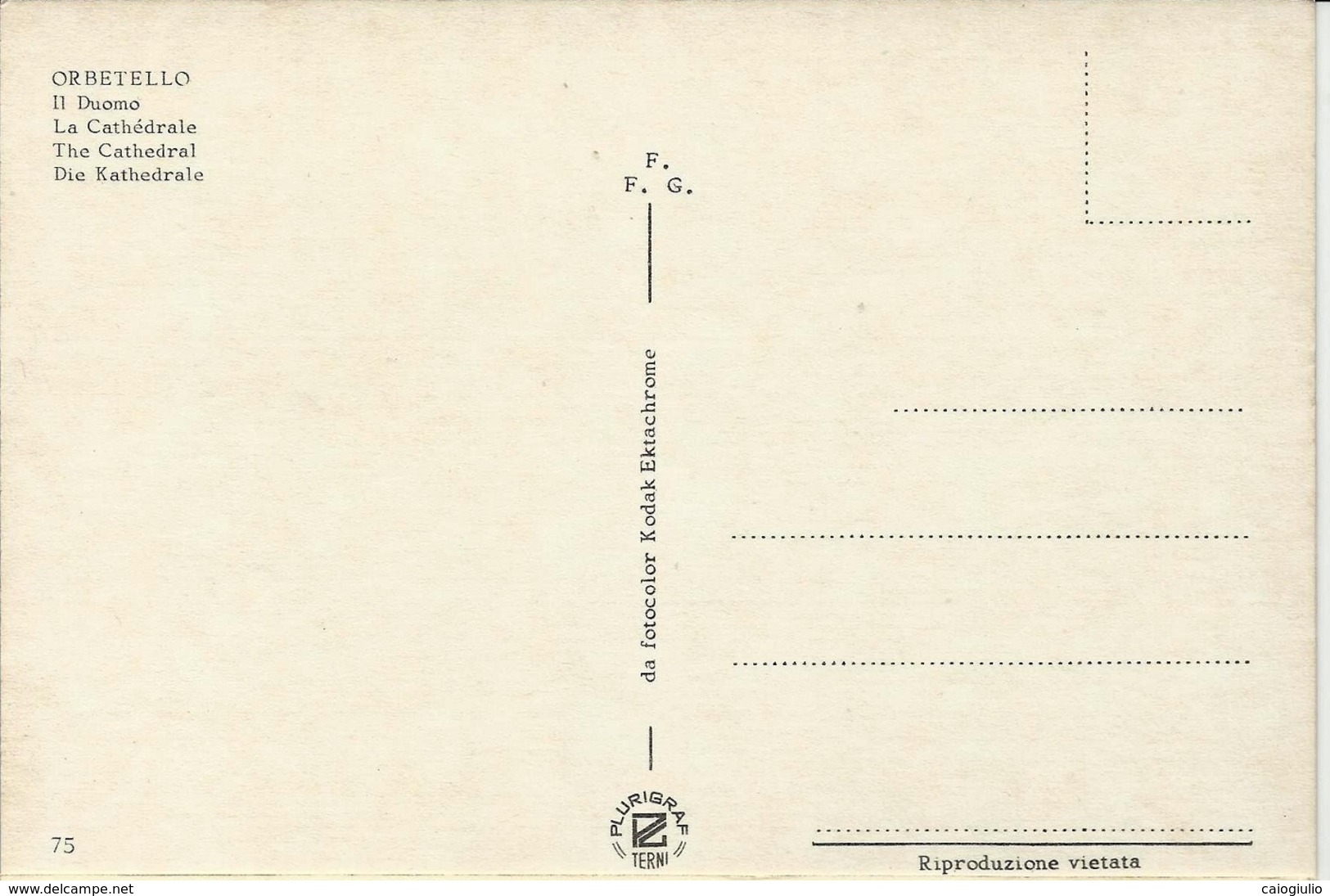 ORBETELLO (GROSSETO) - DUOMO - FIAT1100, FIAT 1500, RENAULT 4 - Altri & Non Classificati