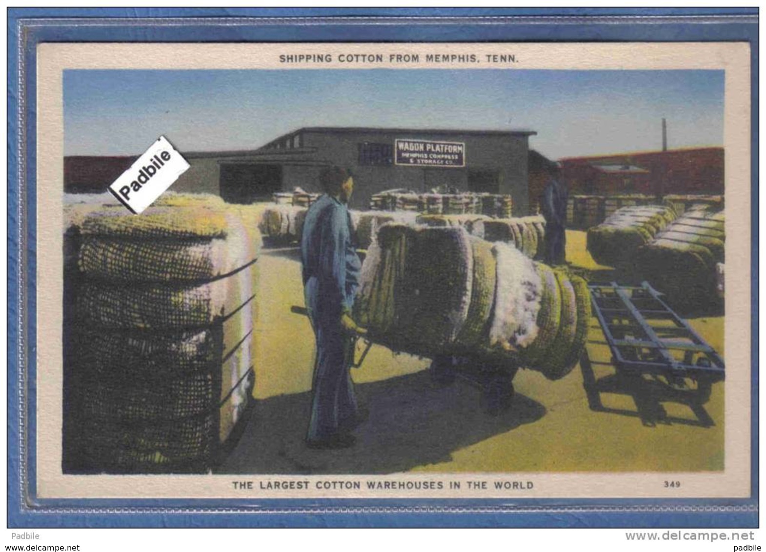 Carte Postale Etats-Unis  Memphis Shipping Cotton  Trés Beau Plan - Memphis