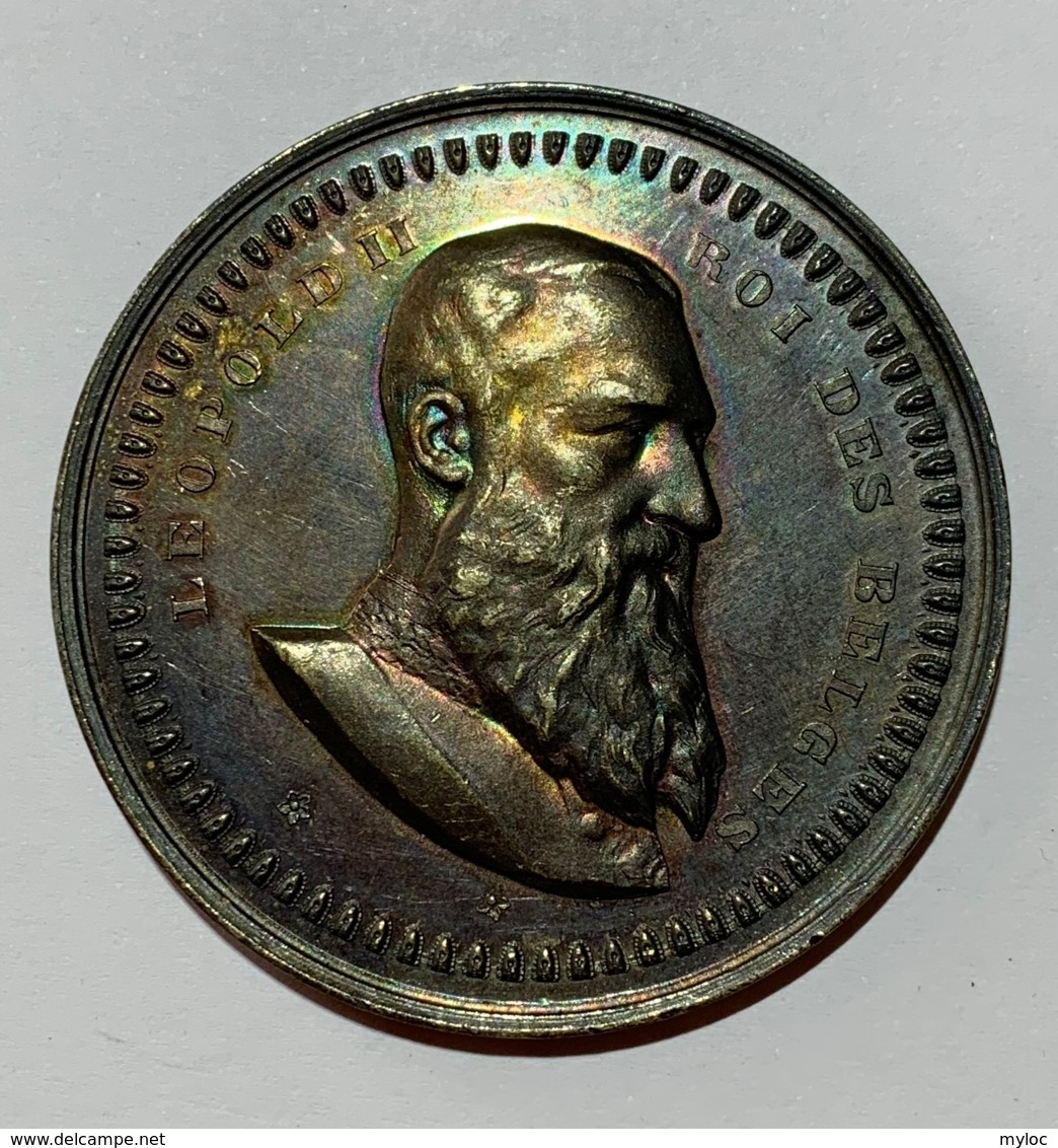 Médaille. Léopold II. La Fraternité à Son Président D'honneur Mr. L. Lepage. 1889-1899. 50 Mm. - Professionnels / De Société