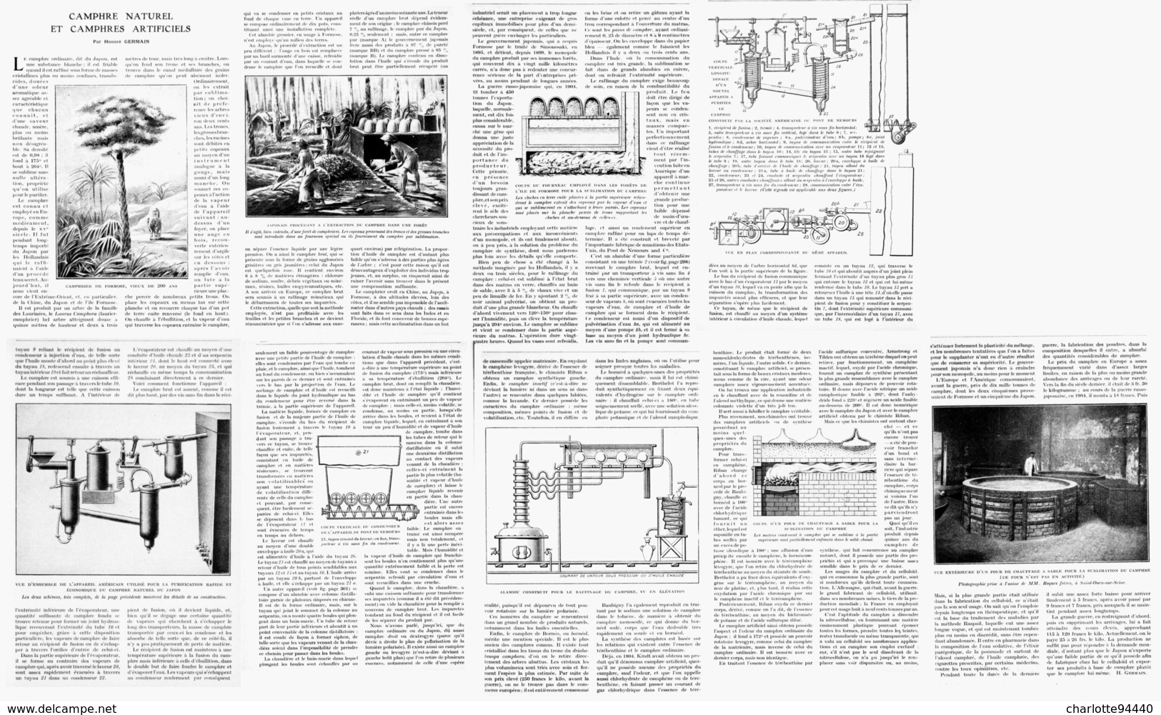 CAMPHRE NATUREL Et CAMPHRES ARTIFICIELS   1922 - Autres & Non Classés