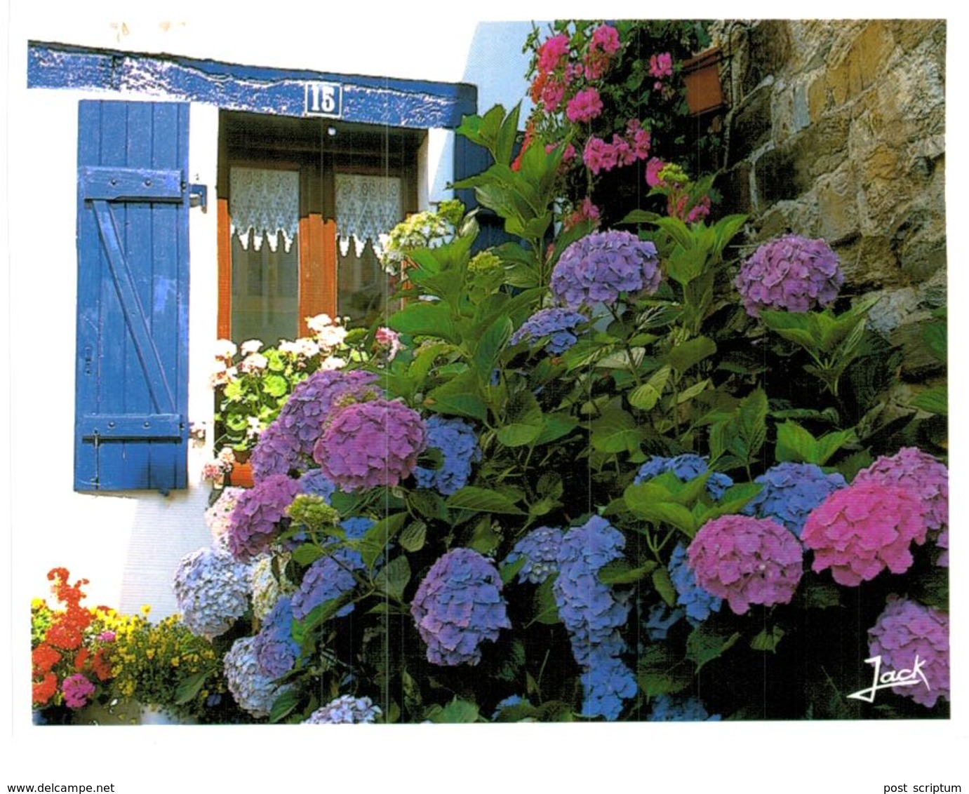 Lot 200- Thème - Fleur Plante -  Environ 120 Cartes - 100 - 499 Postkaarten