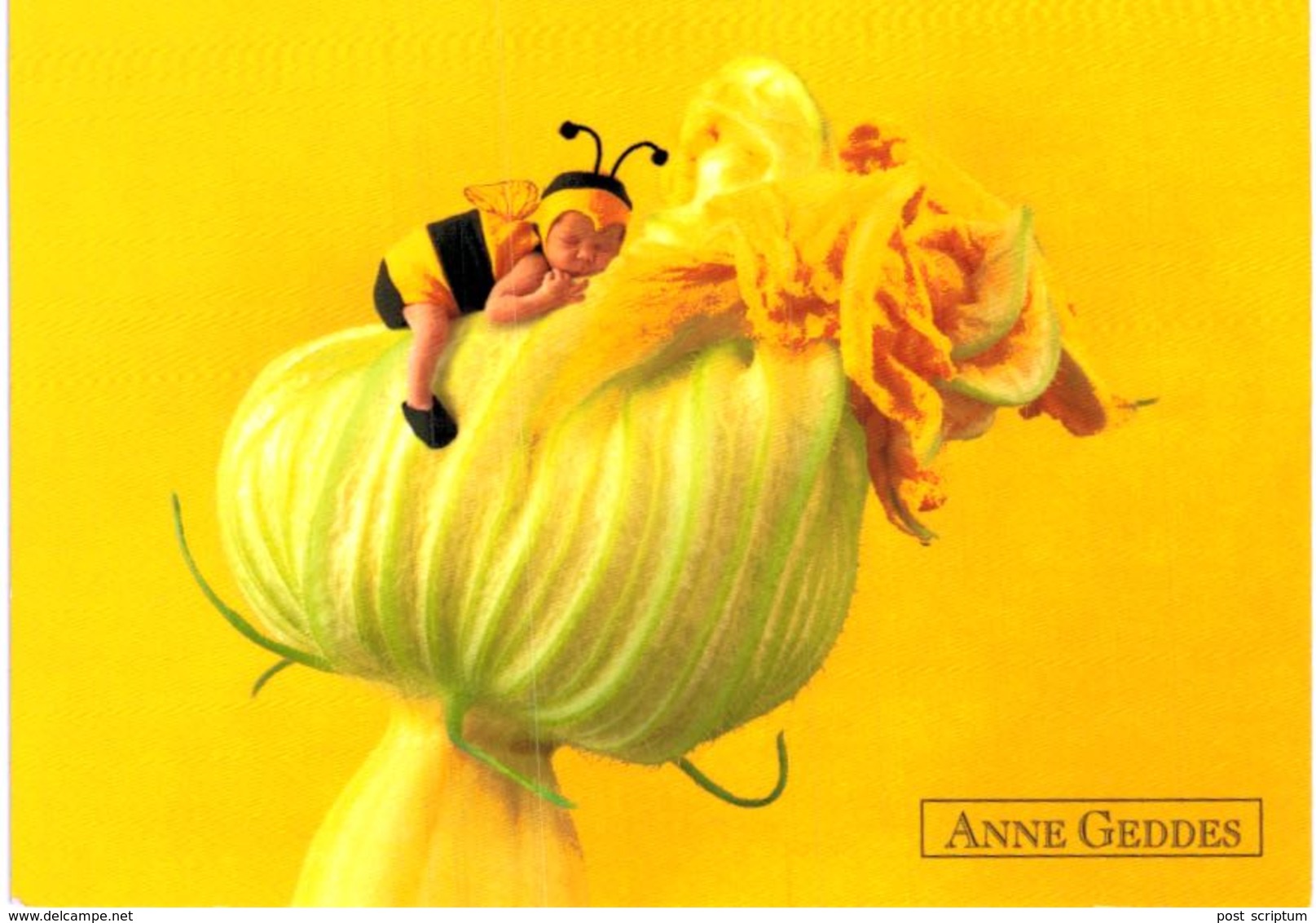Lot 200- Thème - Fleur Plante -  Environ 120 Cartes - 100 - 499 Postkaarten