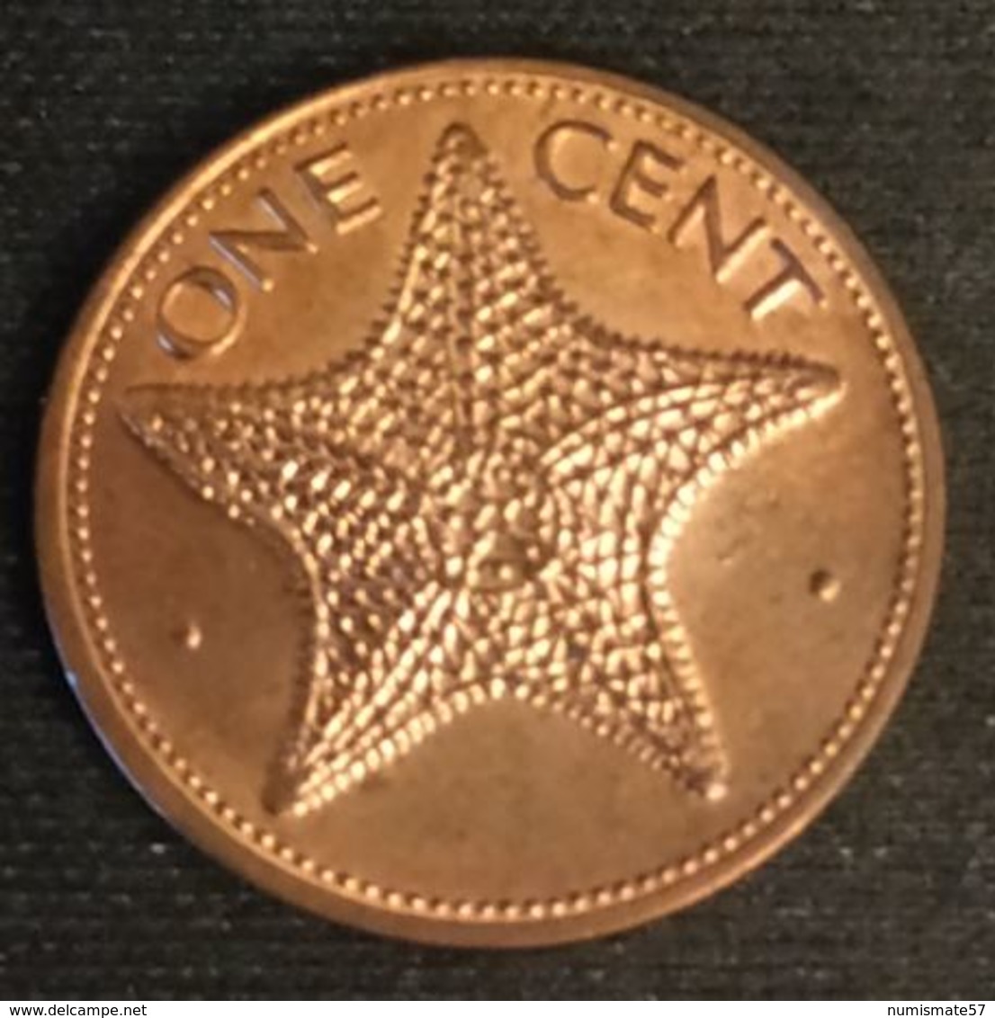 BAHAMAS - 1 CENT 1997 - KM 59a - Étoile De Mer - ( One Cent ) - Bahamas