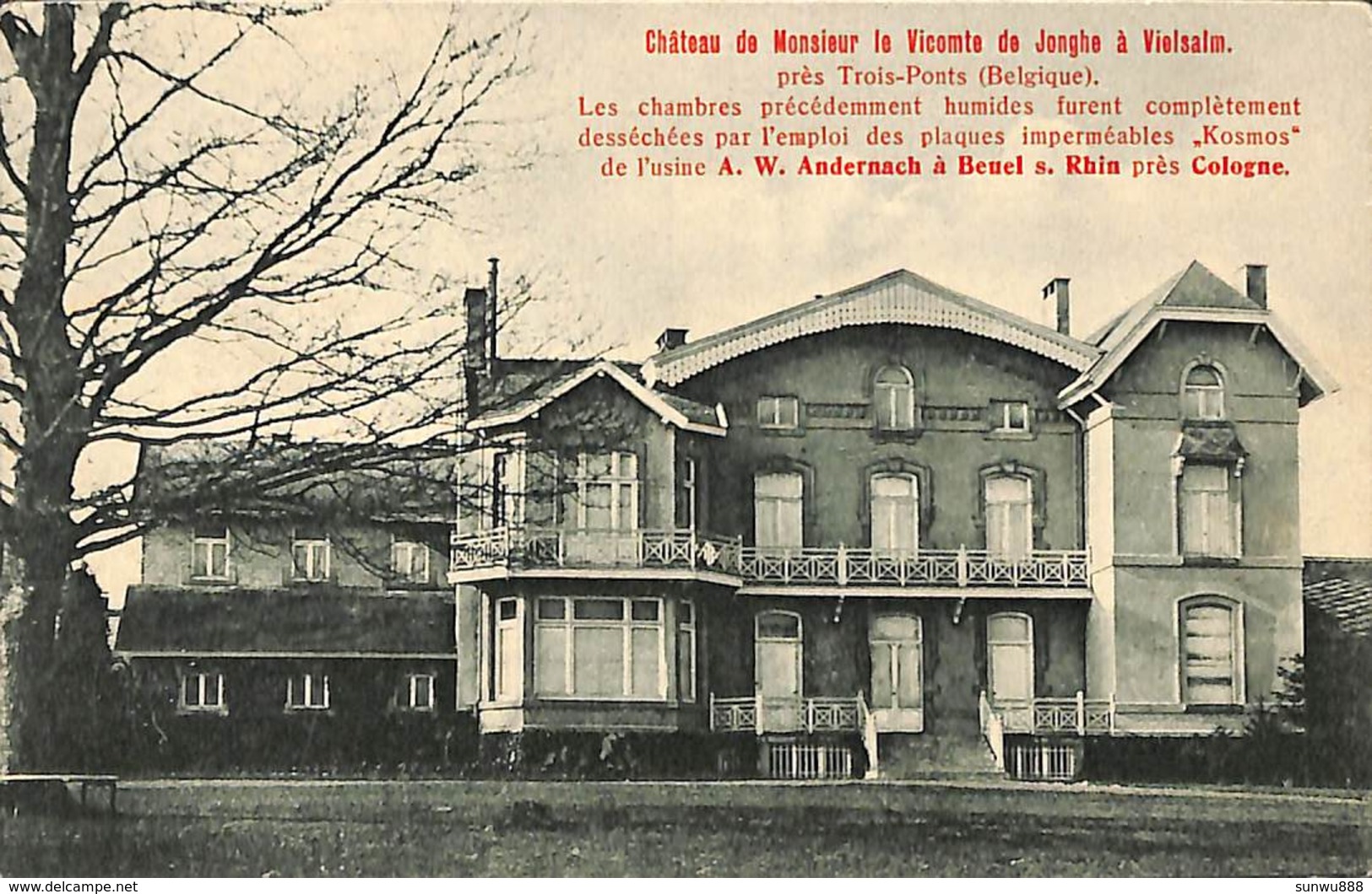 Château De Monsieur Le Vicomte De Jonghe à Vielsam (carte Publicitaire Joseph Denis) (prix Fixe) - Vielsalm